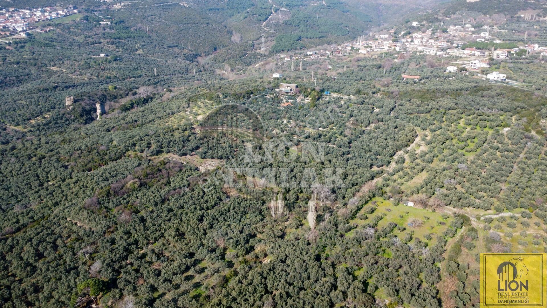 🟨⬛lıon Emlak'tan Erdek Hamamlı Mahallesinde Yatırımlık 936m² Satılık Zeytinlik⬛🟨 - Görsel 7