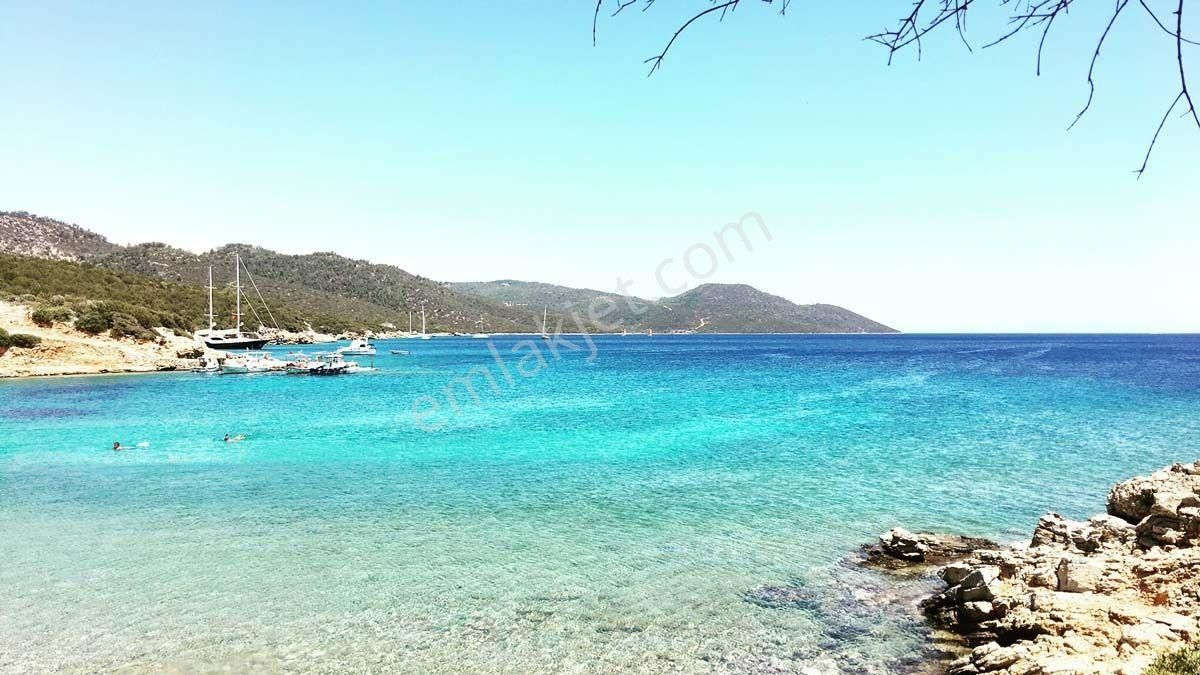 Satılık Müstakil Bahçeli Yeni Villa Denize Yakın Özel Plajlı Ev - Görsel 14