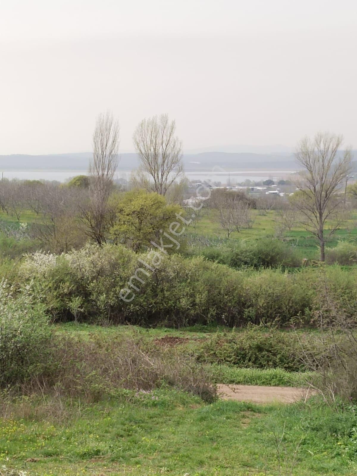 Pınar Emlak'tan Akçalar Tasmalar Mevkii Den Yatırımlık Ve Hobi Bahçelik Tarla - Görsel 2