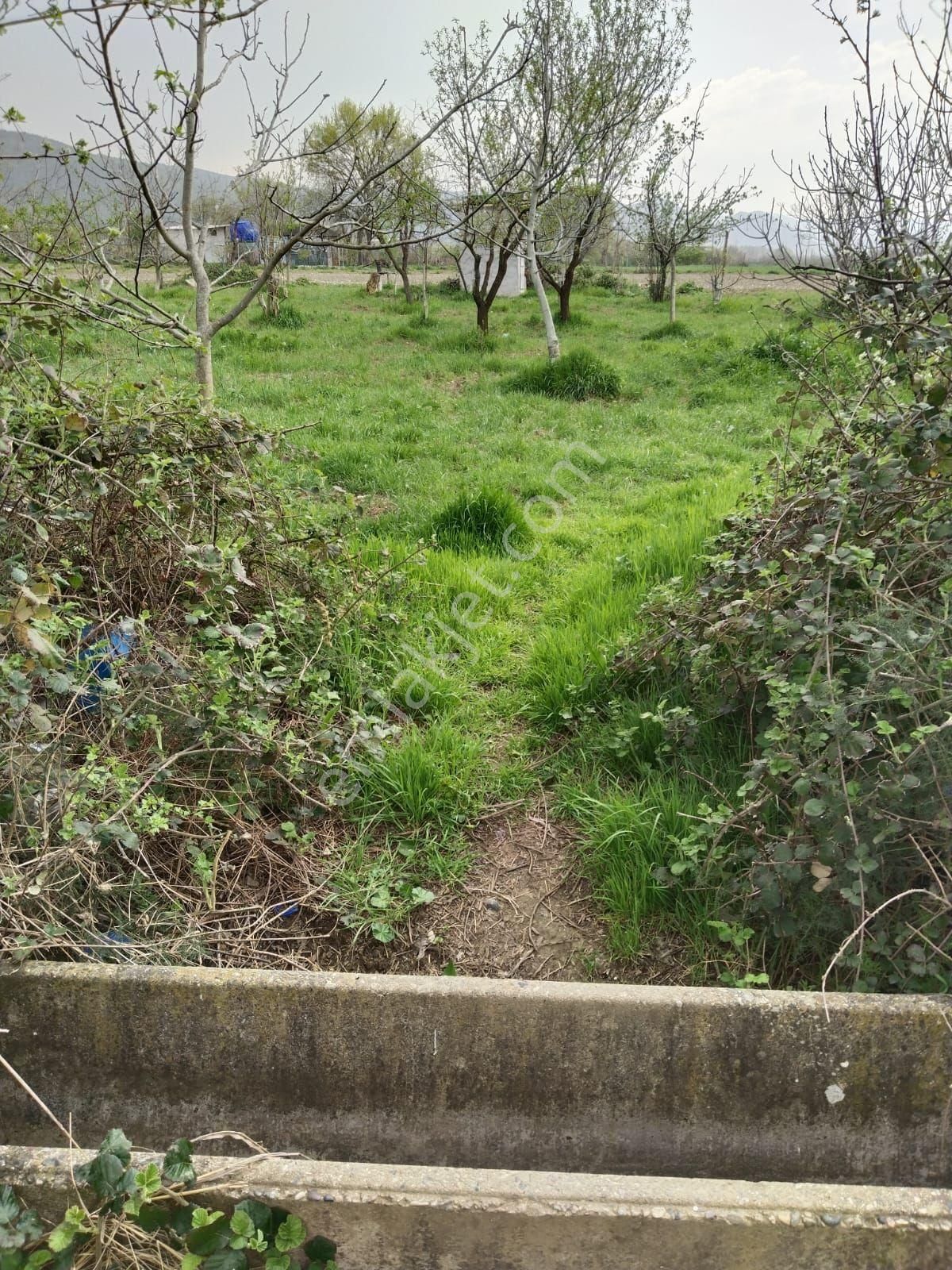 Pınar Emlak'tan Akçalar Çaylar Mevkii Den Satılık Hobi Bahçelik Tarla - Görsel 5