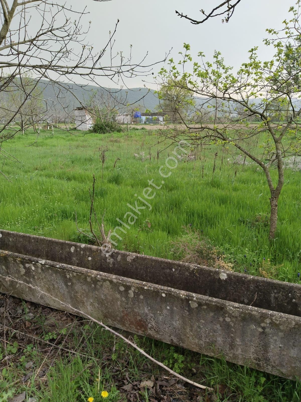 Pınar Emlak'tan Akçalar Çaylar Mevkii Den Satılık Hobi Bahçelik Tarla - Görsel 7