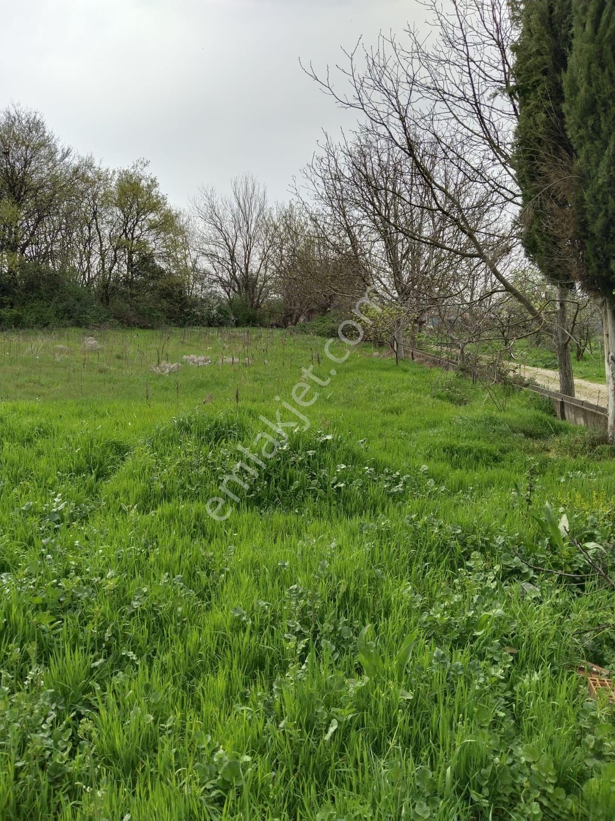 Pınar Emlak'tan Akçalar Çaylar Mevkii Den Satılık Hobi Bahçelik Tarla - Görsel 6