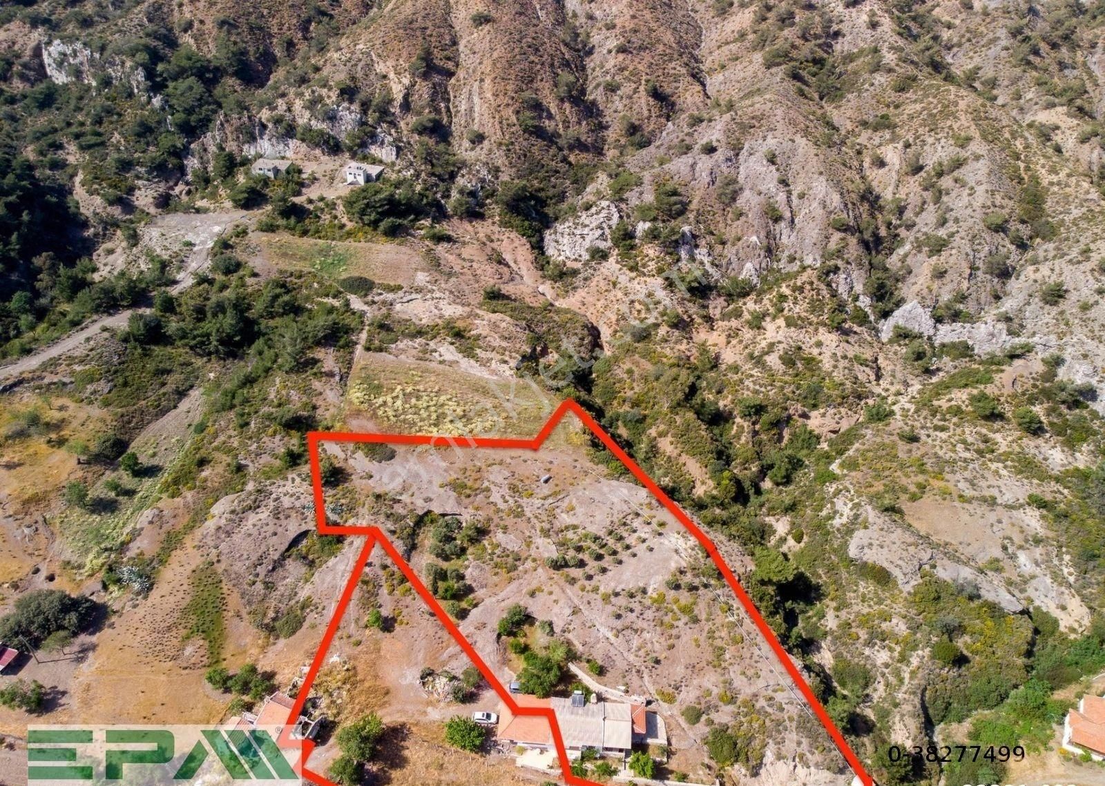 Epa Datça'dan 7750m2 Arsa İçerisinde Deniz Manzaralı Çiftlik Evi - Görsel 19