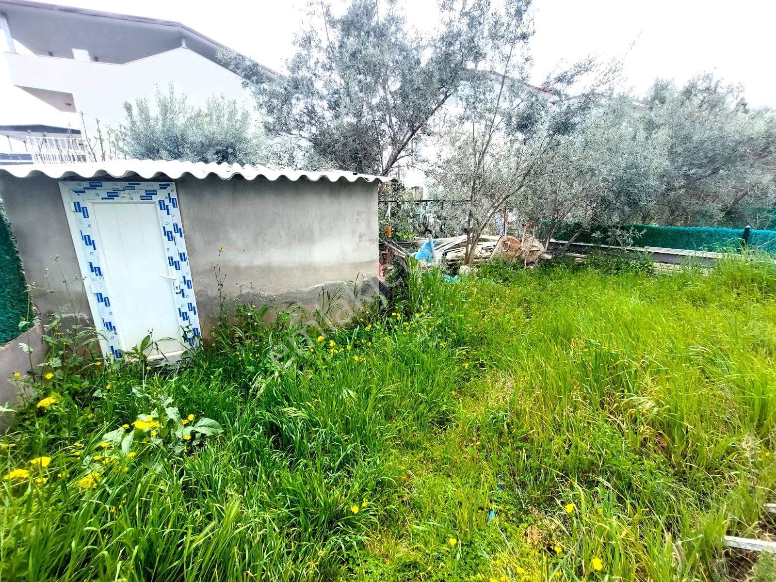 İzmir Seferihisar Doğanbey De Satılık Yazlık Villa 3+1 - Görsel 14