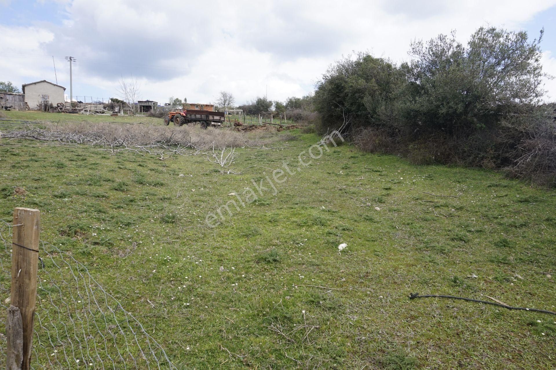 Çanakkale Bayramiç Tepecik Mah 258 M2 Arsa - Görsel 3