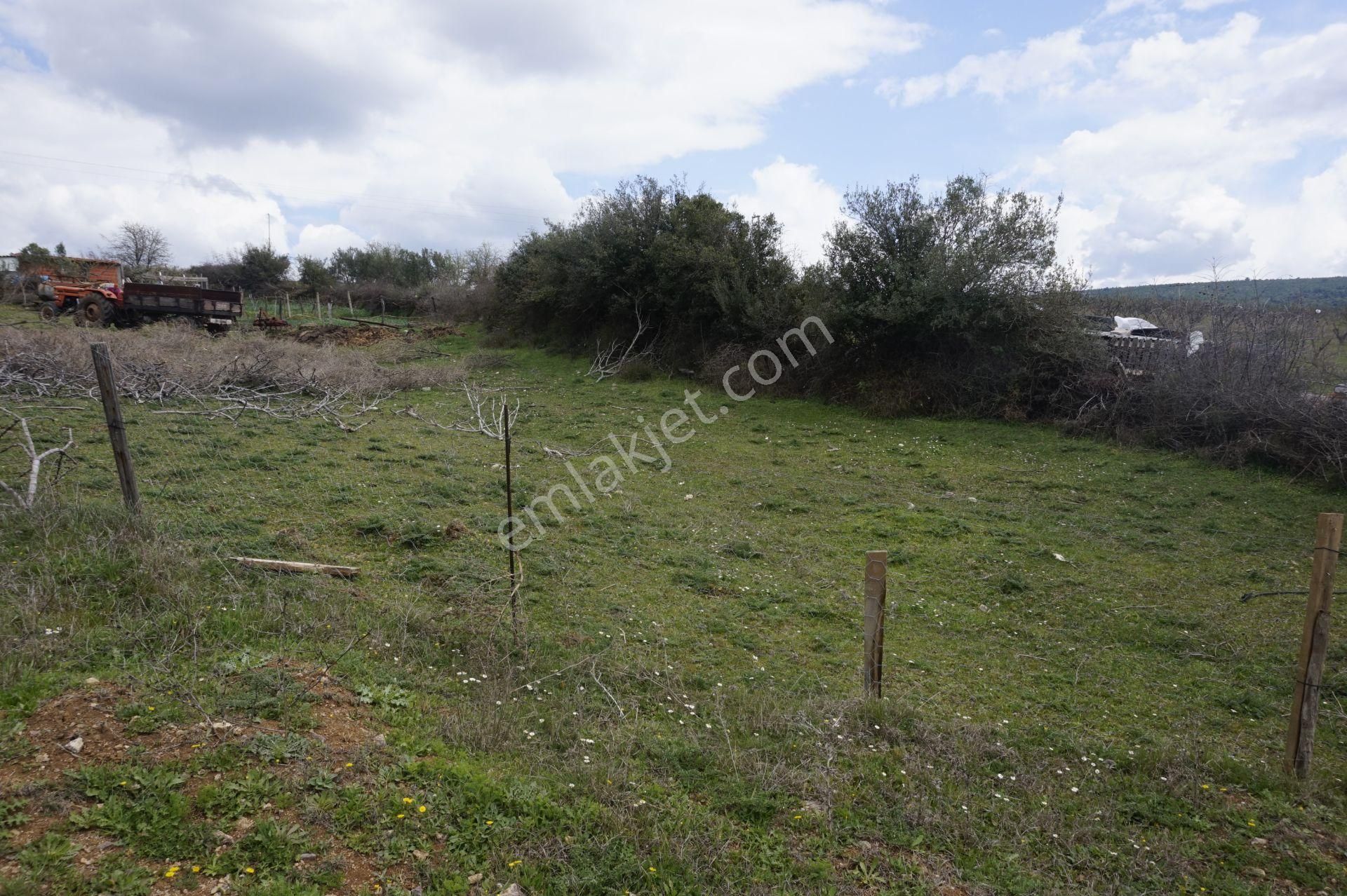 Çanakkale Bayramiç Tepecik Mah 258 M2 Arsa - Görsel 5
