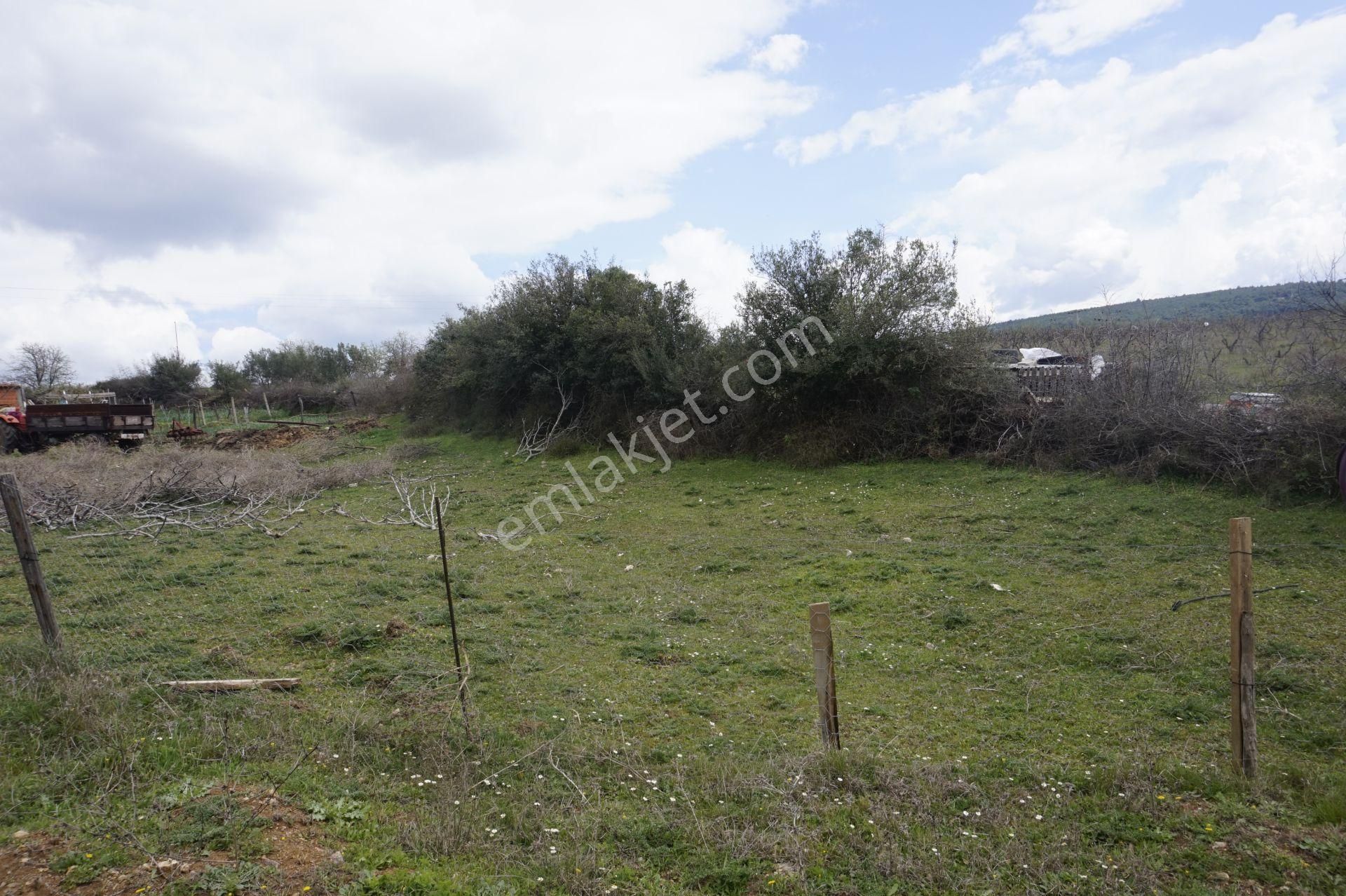 Çanakkale Bayramiç Tepecik Mah 258 M2 Arsa - Görsel 4