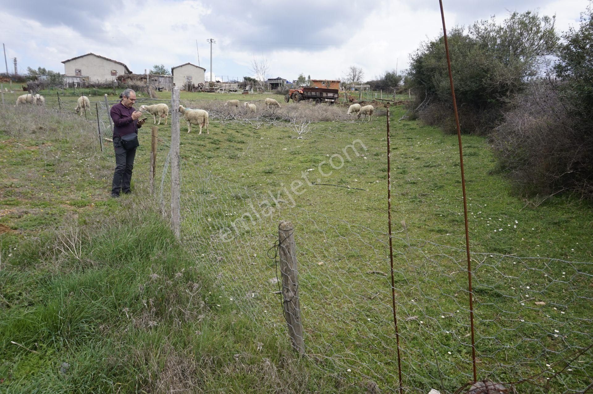 Çanakkale Bayramiç Tepecik Mah 258 M2 Arsa - Görsel 2