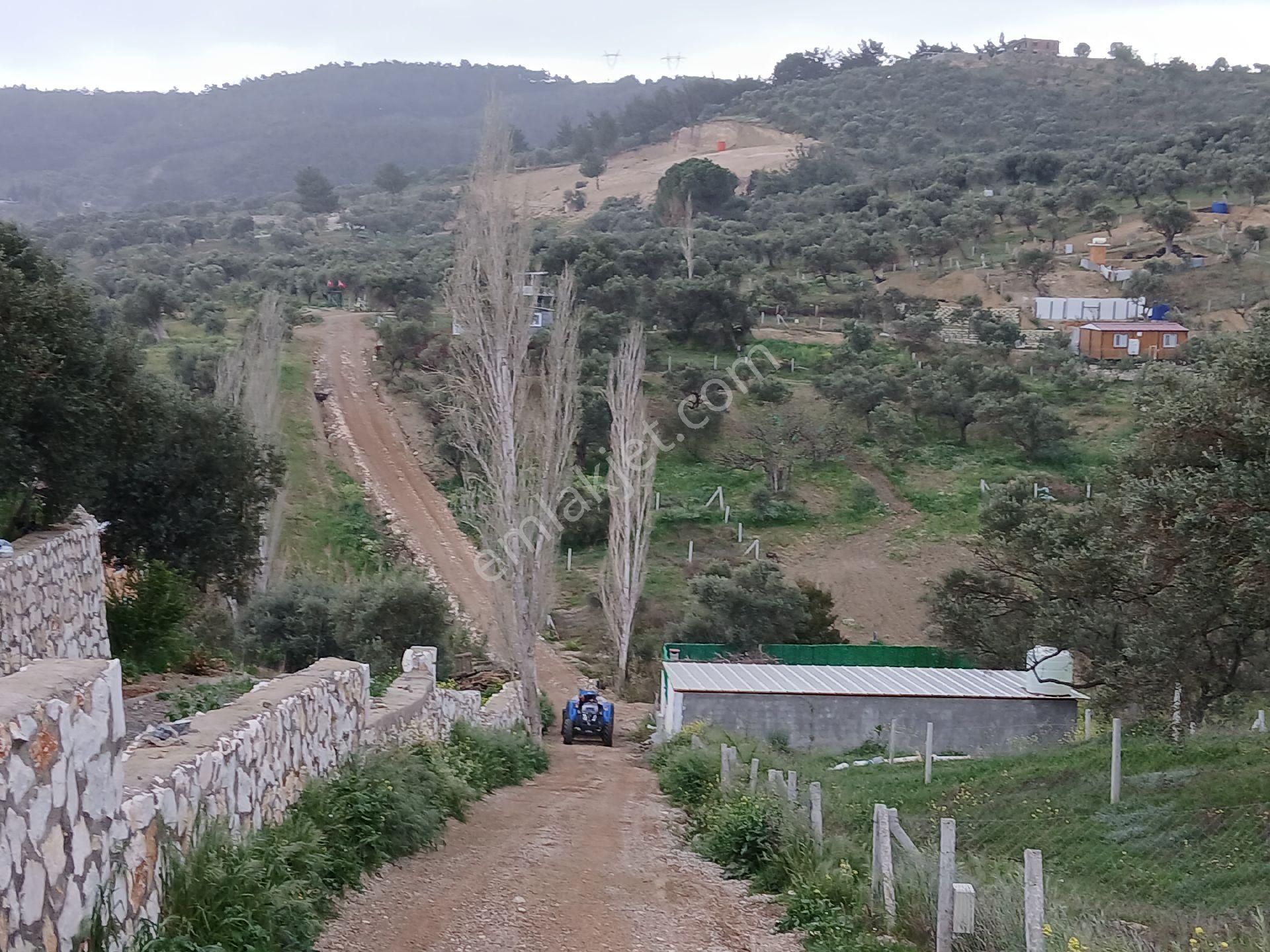 Satılık Sahipler Köyü Girişinde 220 M2 Doğa Manzaralı Güzel Bir Bahçe - Görsel 12