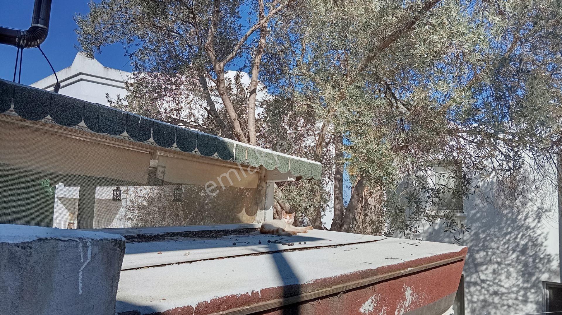 Bodrum Torba Eşyasız Kiralık Bahçe Katı 1+1 Daire - Görsel 23