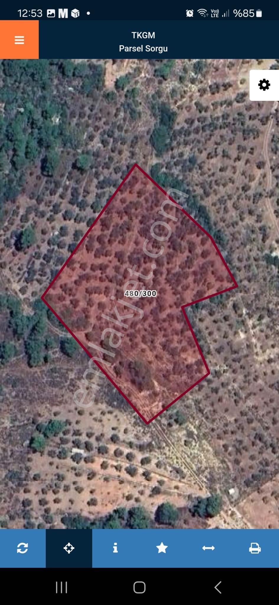 Satılık Zeytinlik – Edremit Avcılar’da Eşsiz Fırsat! - Görsel 2