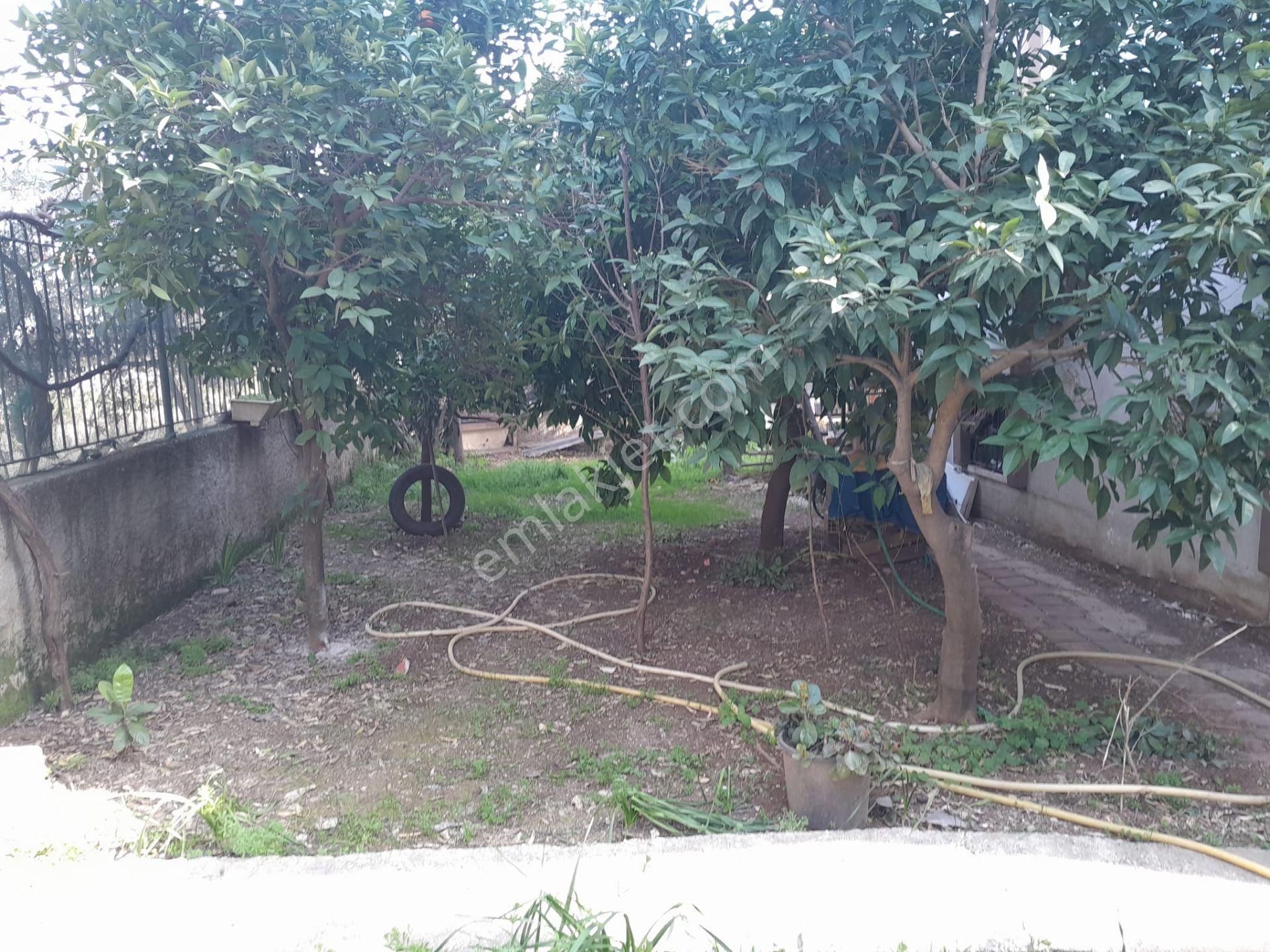 Adana Çukurova Belediye Evleri Ana Okulu Ve Kreşe Uygun Satılık 3 Katlı Bina - Görsel 6