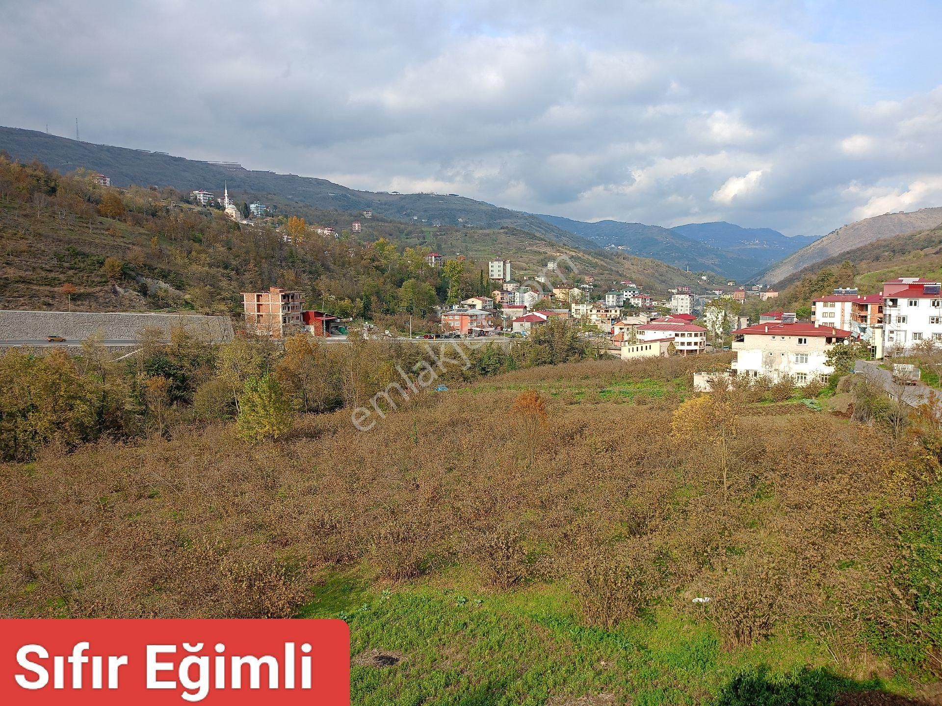 Akçaabat Dörtyol’ Da Eğimsiz Yatırımlık 2605 M2 Satılık Fındık Arazisi - Görsel 14