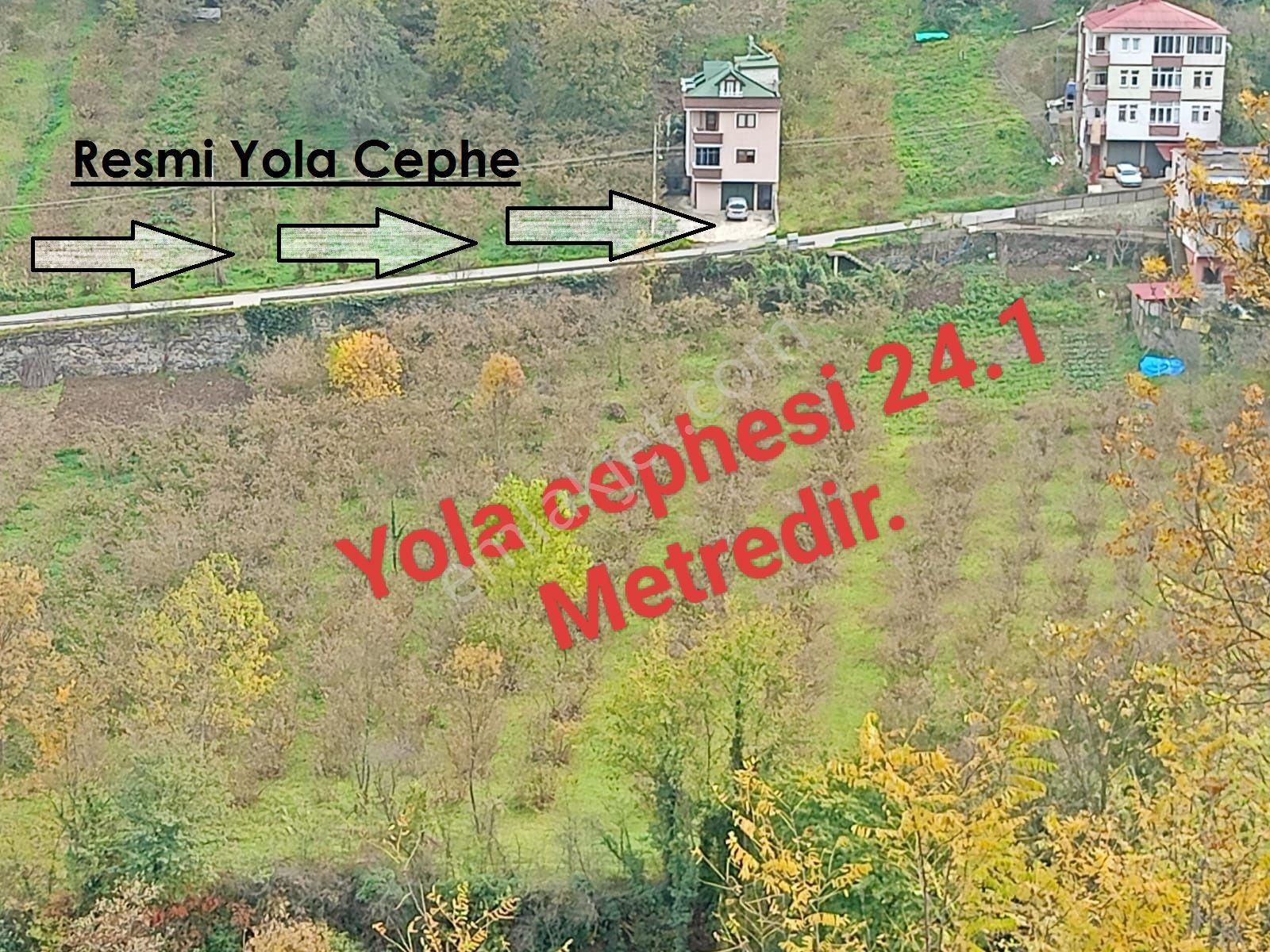 Akçaabat Dörtyol’ Da Eğimsiz Yatırımlık 2605 M2 Satılık Fındık Arazisi - Görsel 4