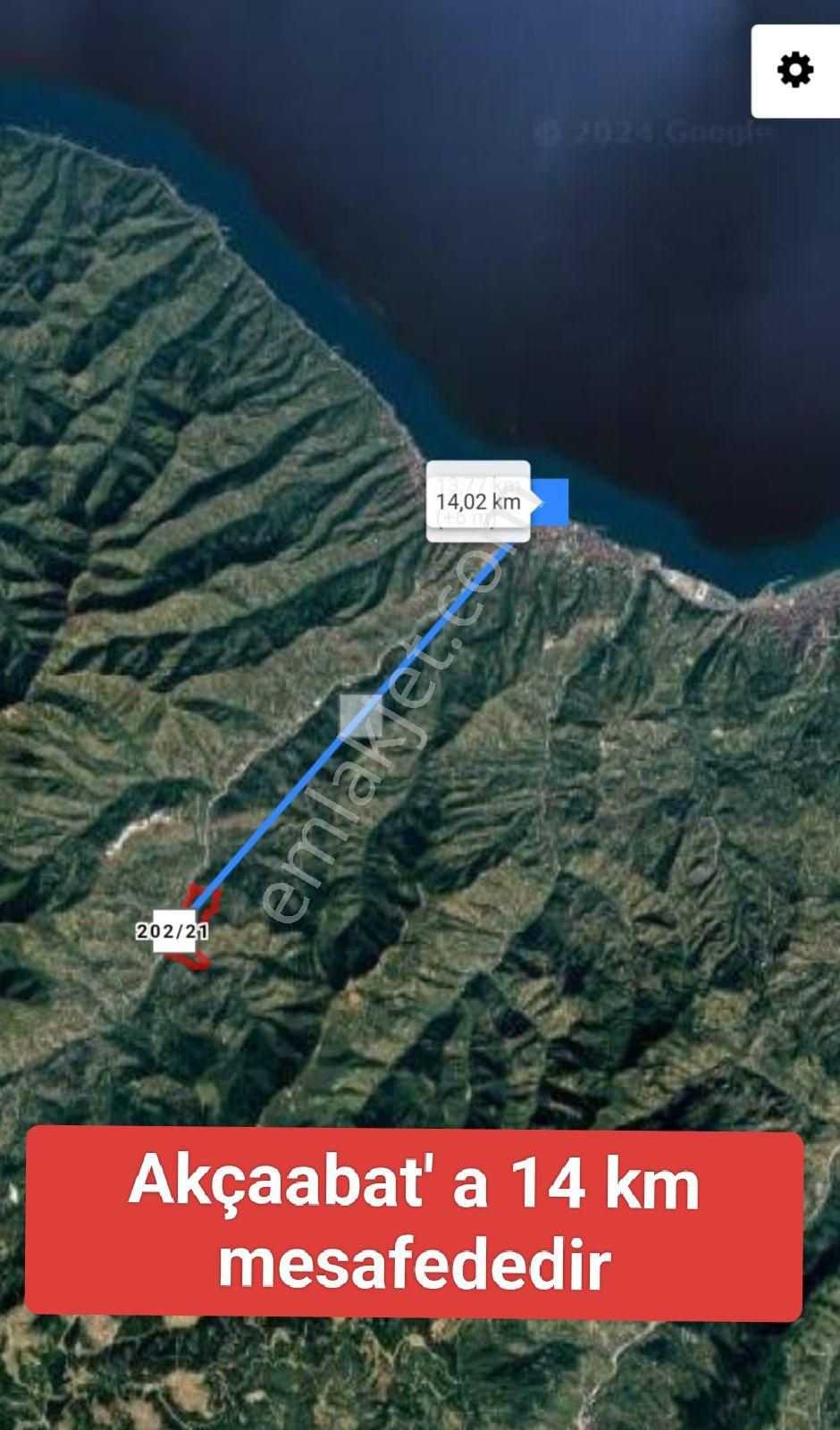 Akçaabat Dörtyol’ Da Eğimsiz Yatırımlık 2605 M2 Satılık Fındık Arazisi - Görsel 18