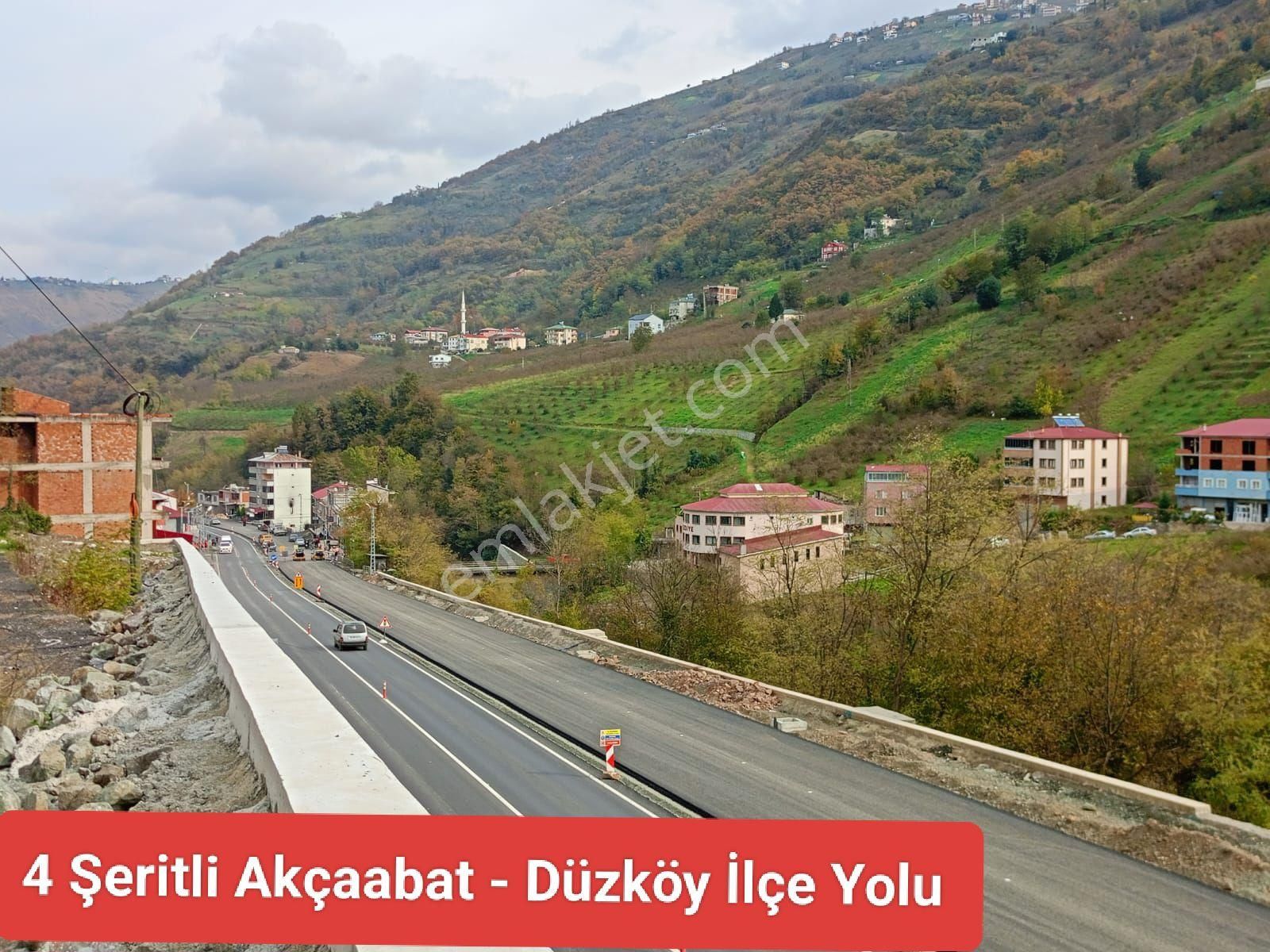 Akçaabat Dörtyol’ Da Eğimsiz Yatırımlık 2605 M2 Satılık Fındık Arazisi - Görsel 6