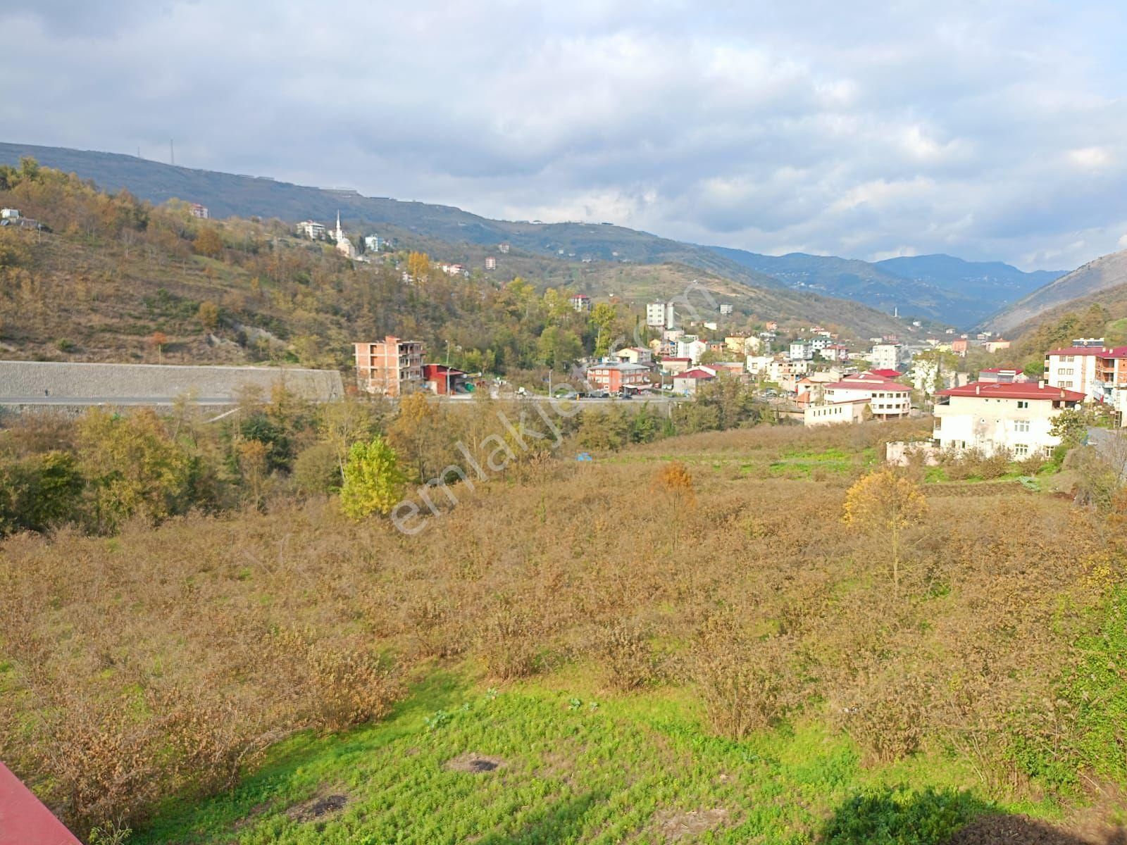 Akçaabat Dörtyol’ Da Eğimsiz Yatırımlık 2605 M2 Satılık Fındık Arazisi - Görsel 20