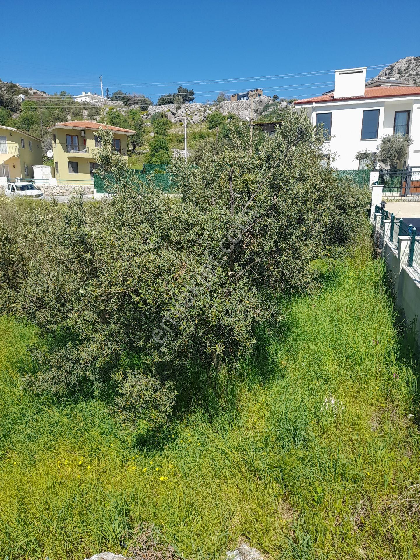 Satilik İmarlı Arsa Sogut - Görsel 2