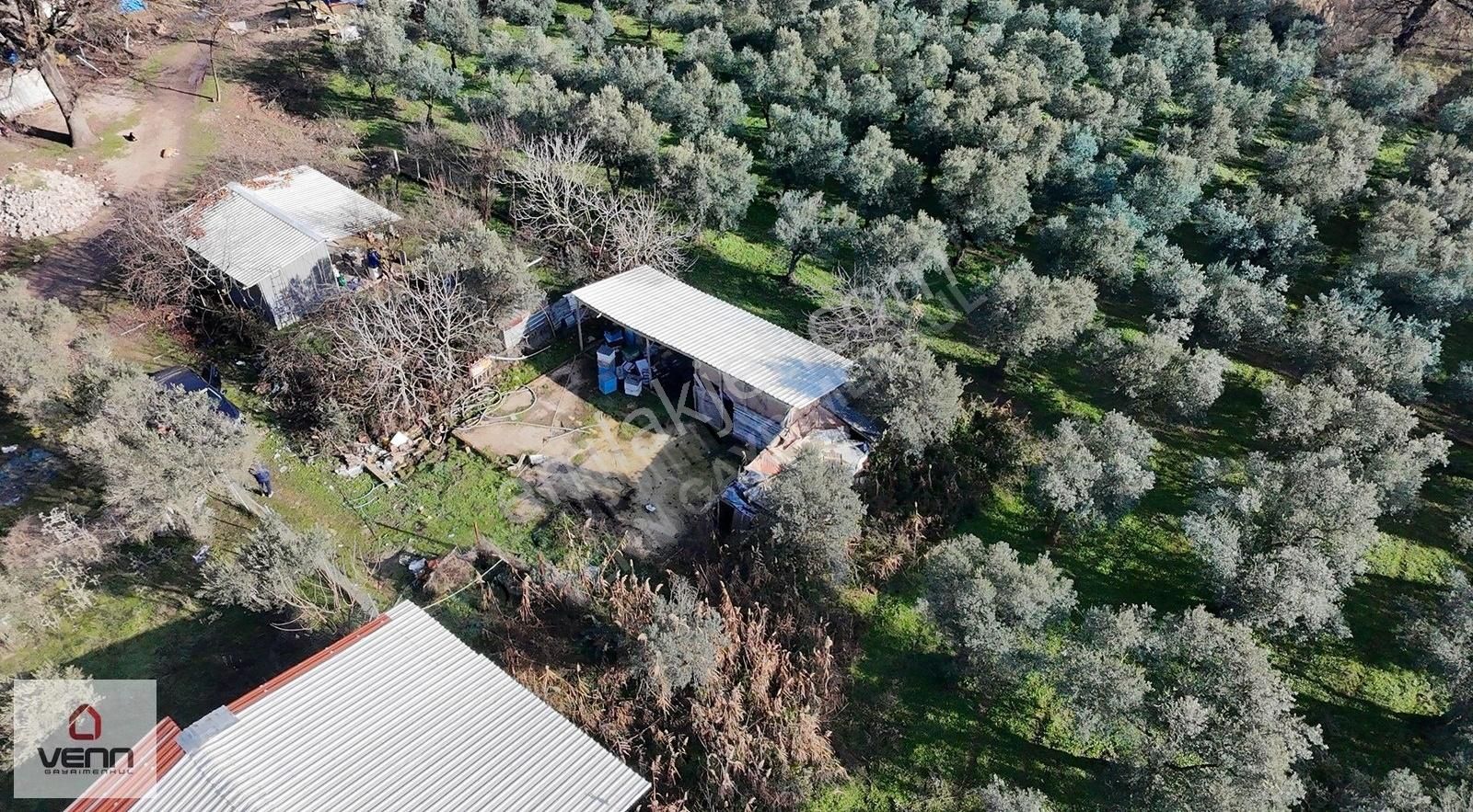 Gemlik Kumsaz'da Hobi Bahçesine Uygun 280 M2 Satılık Tarla! - Görsel 3