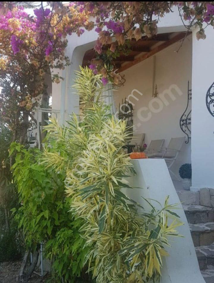 Satılık Villa - Görsel 14
