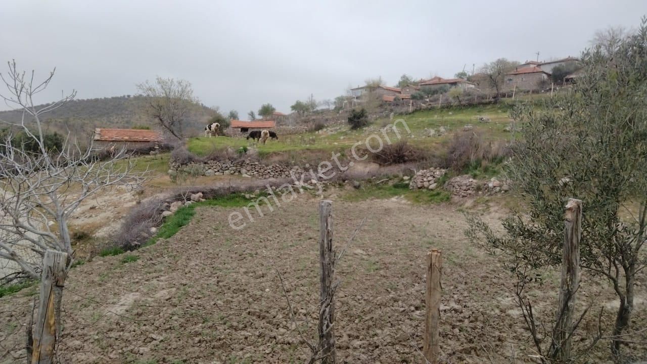 İzmir Bergama Durmuşlar Mh 397 M2 Köy İçi Bahçemiz Satılıktır - Görsel 2