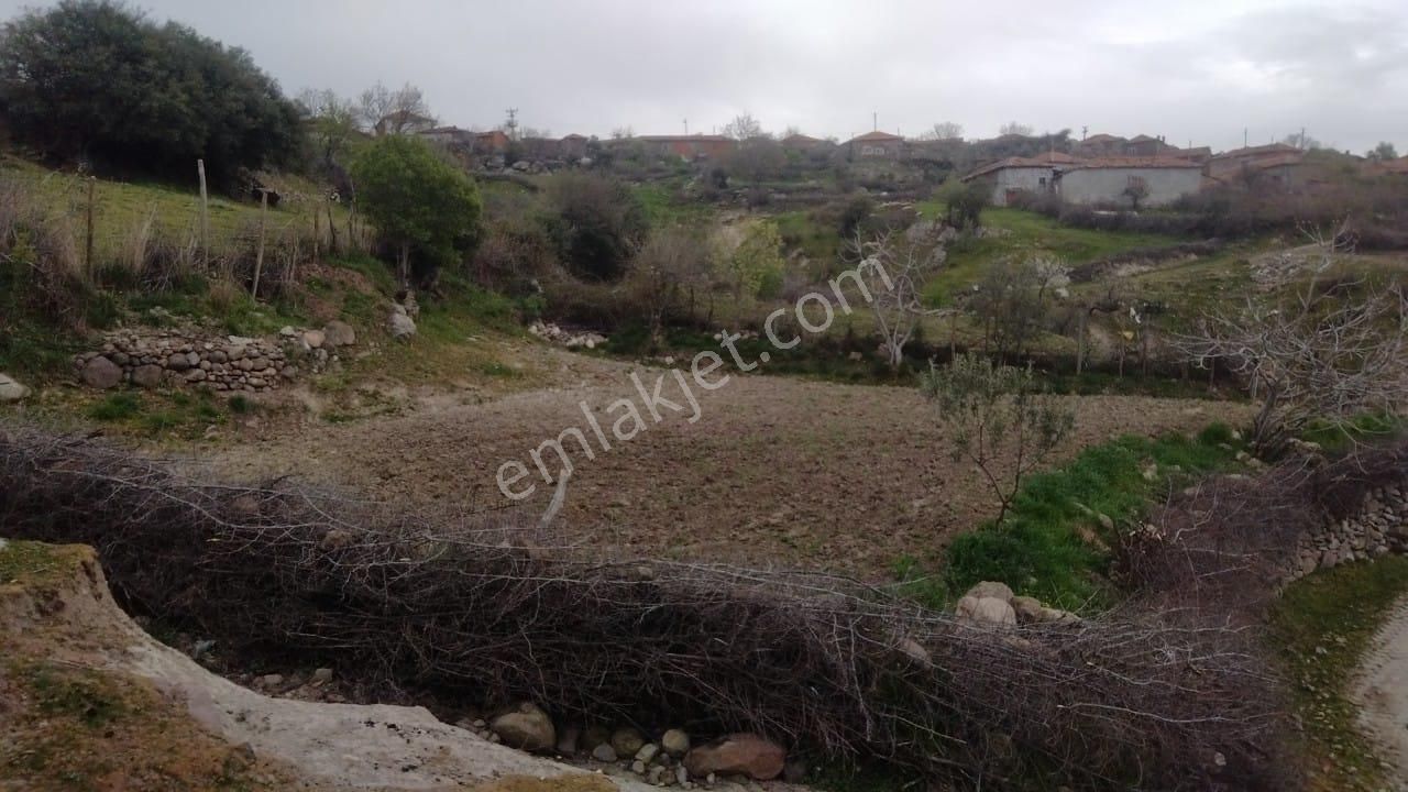 İzmir Bergama Durmuşlar Mh 397 M2 Köy İçi Bahçemiz Satılıktır - Görsel 3
