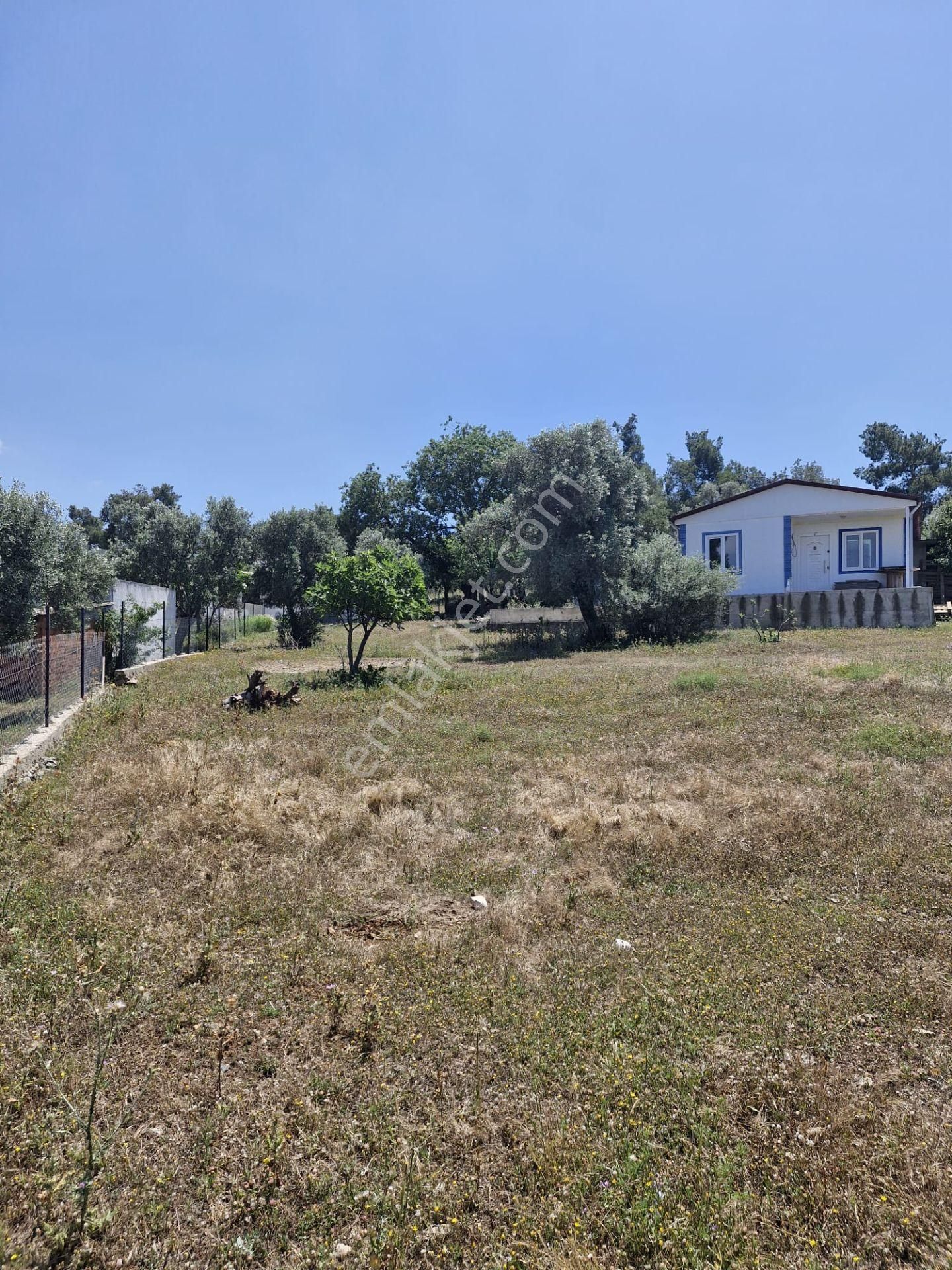 Bodrum Çamarası İmarlı Arsa - 1269 M2 - Görsel 6