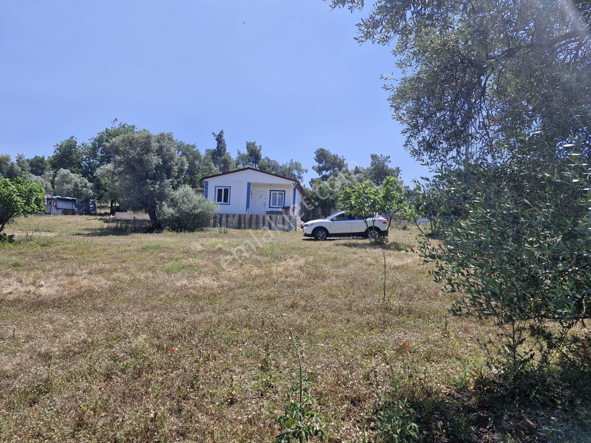 Bodrum Çamarası İmarlı Arsa - 1269 M2 - Görsel 7