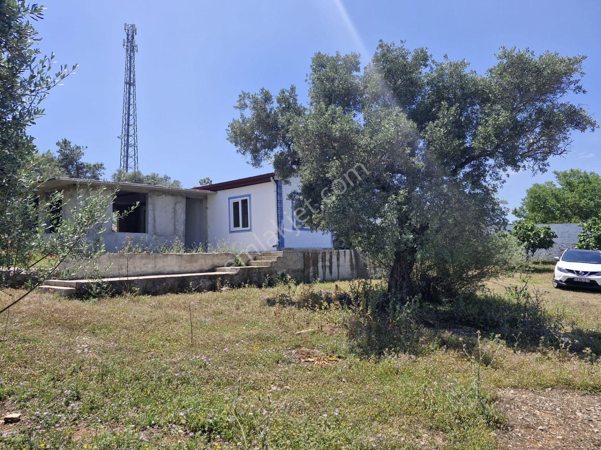Bodrum Çamarası İmarlı Arsa - 1269 M2 - Görsel 5