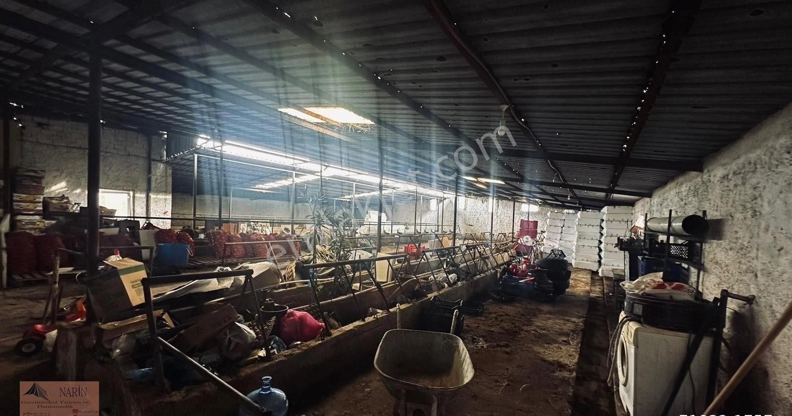 Satılık Kapalı Besihane , 2+1 Ev ,çoban Odası ,teras , Büyükbaş Hayvan Kesim Alanı - Görsel 13