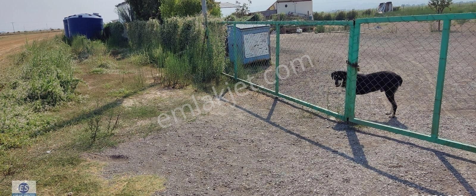 Kiralık Tarla Ve İçinde Depo + Konut