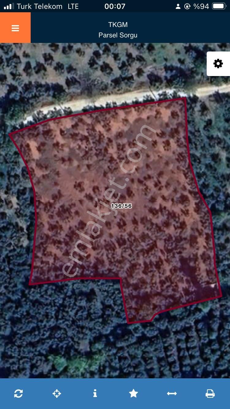 Orhangazi Yenigürle Satılık Muhteşem Tarla - Görsel 2