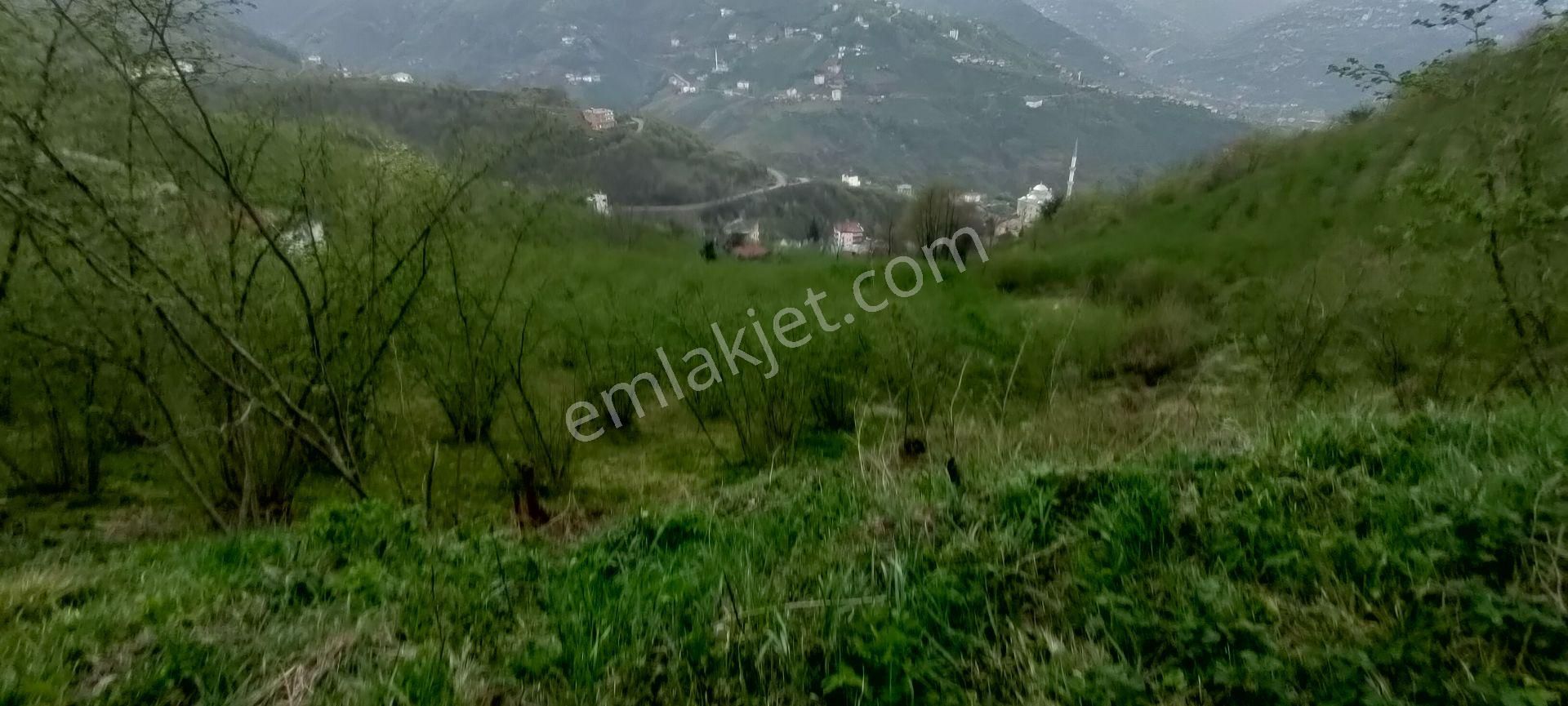 Akçaabat Akpınar Mahallesinde Satılık 9.5 Dönüm Arazi - Görsel 27