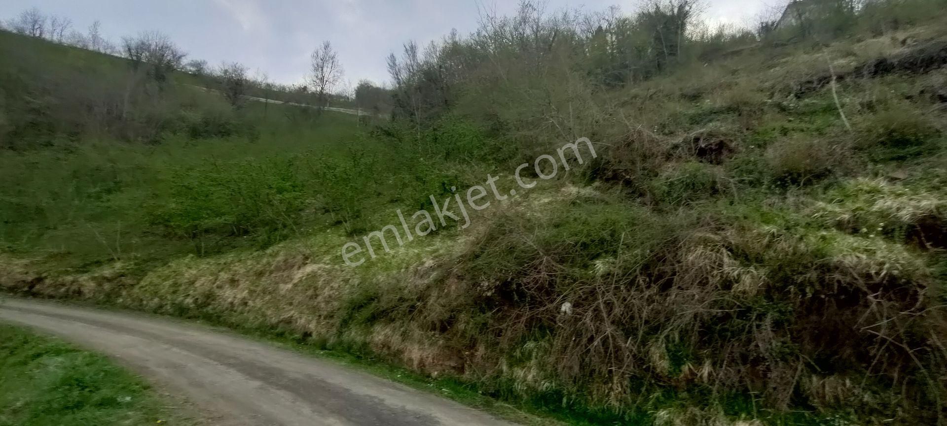 Akçaabat Akpınar Mahallesinde Satılık 9.5 Dönüm Arazi - Görsel 3