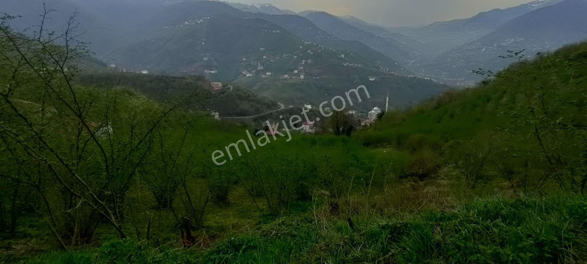 Akçaabat Akpınar Mahallesinde Satılık 9.5 Dönüm Arazi - Görsel 31