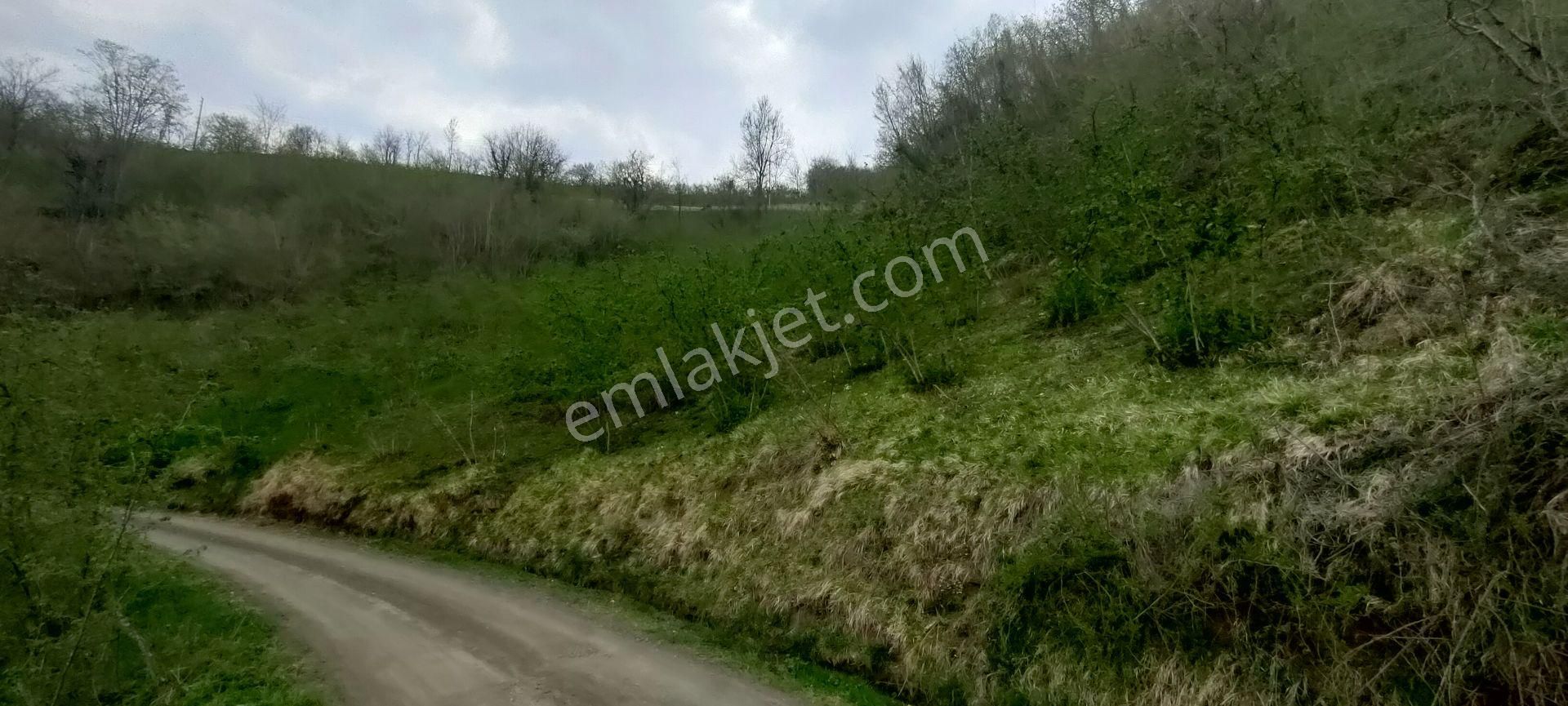 Akçaabat Akpınar Mahallesinde Satılık 9.5 Dönüm Arazi - Görsel 10