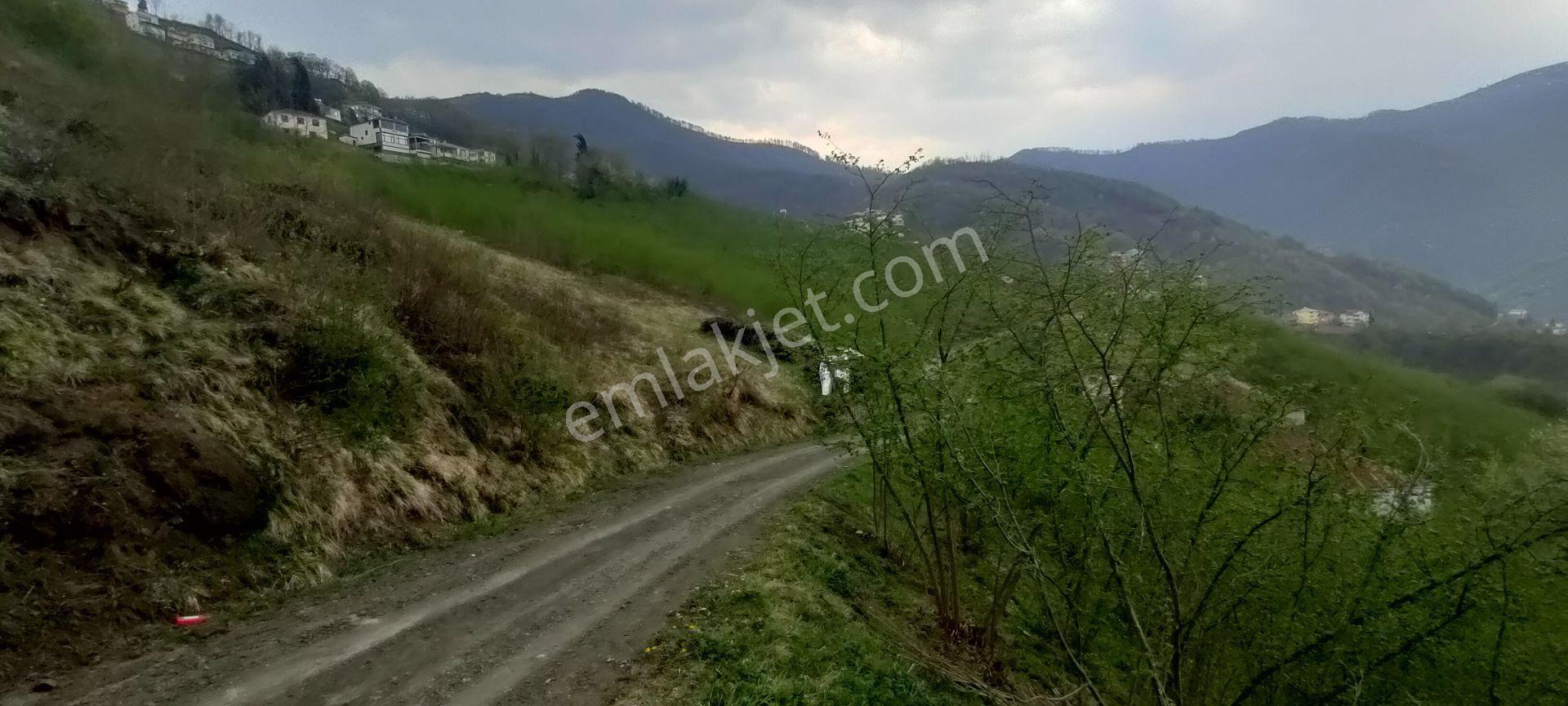 Akçaabat Akpınar Mahallesinde Satılık 9.5 Dönüm Arazi - Görsel 20