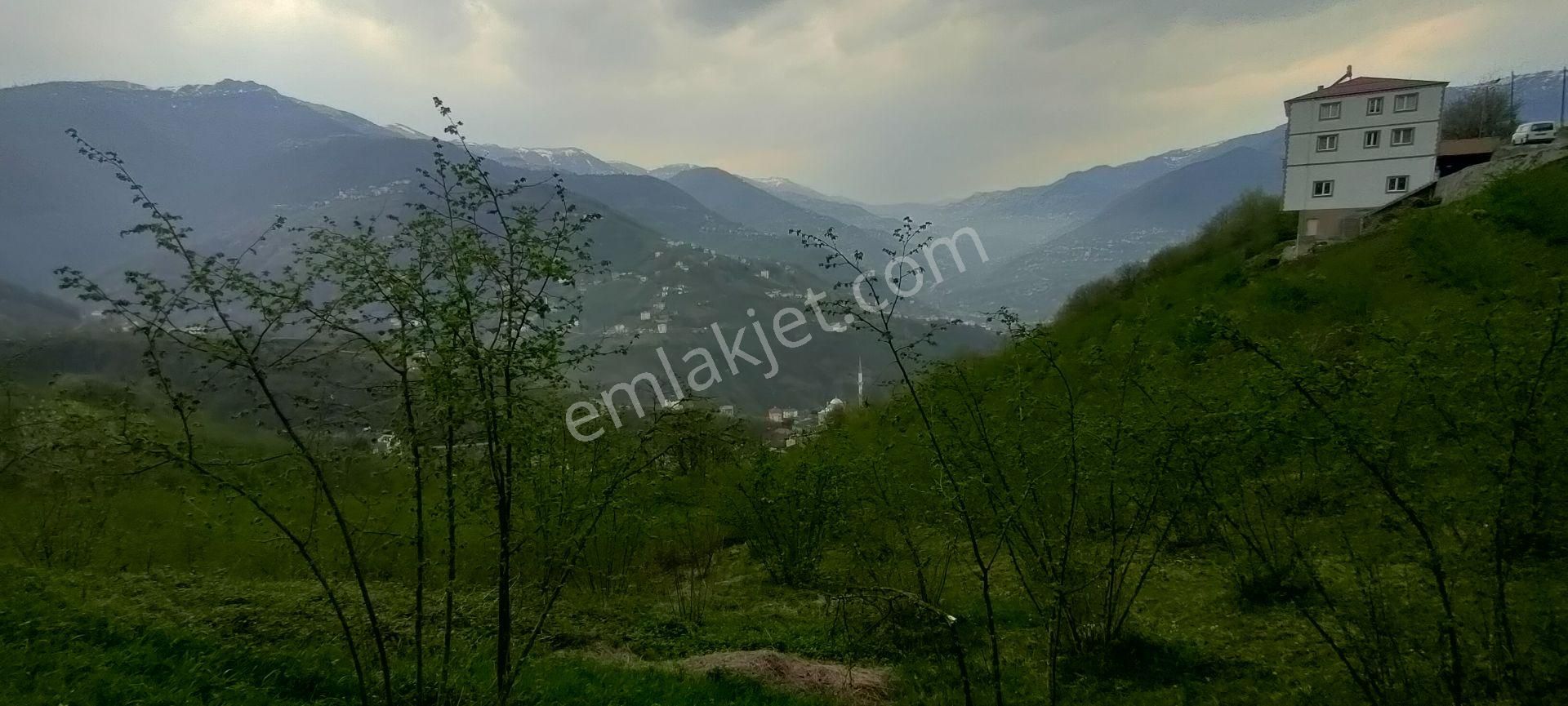 Akçaabat Akpınar Mahallesinde Satılık 9.5 Dönüm Arazi - Görsel 12