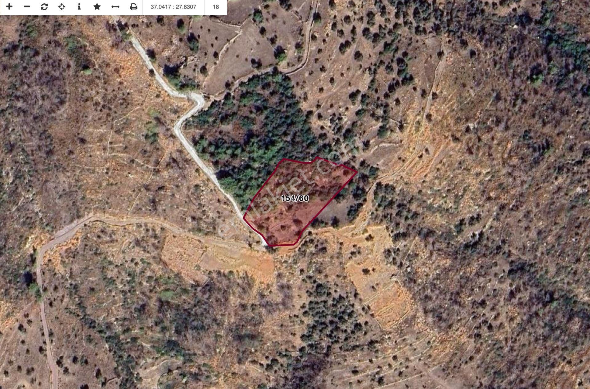 Milas Çökertme Bozalan'da Gökova Körfezi Manzaralı 4.005m² Zeytinli Tarla - Görsel 4