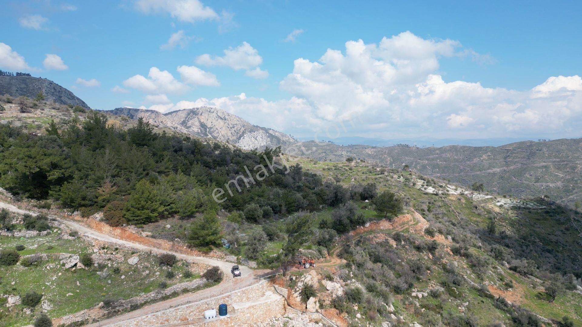 Milas Çökertme Bozalan'da Gökova Körfezi Manzaralı 4.005m² Zeytinli Tarla - Görsel 19