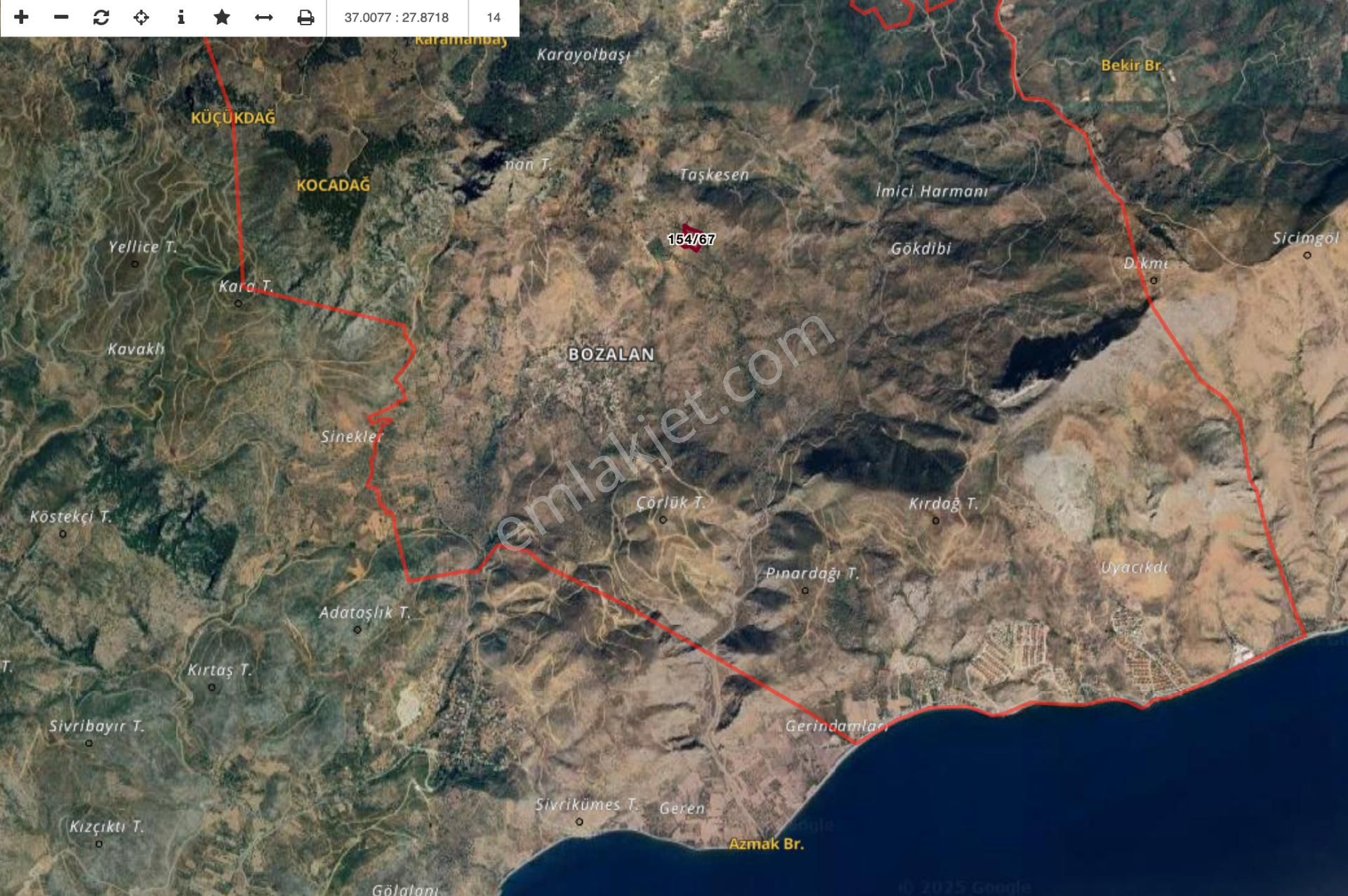Milas Çökertme Bozalan'da Gökova Körfezi Manzaralı 11.713m² Zeytinli Tarla - Görsel 3