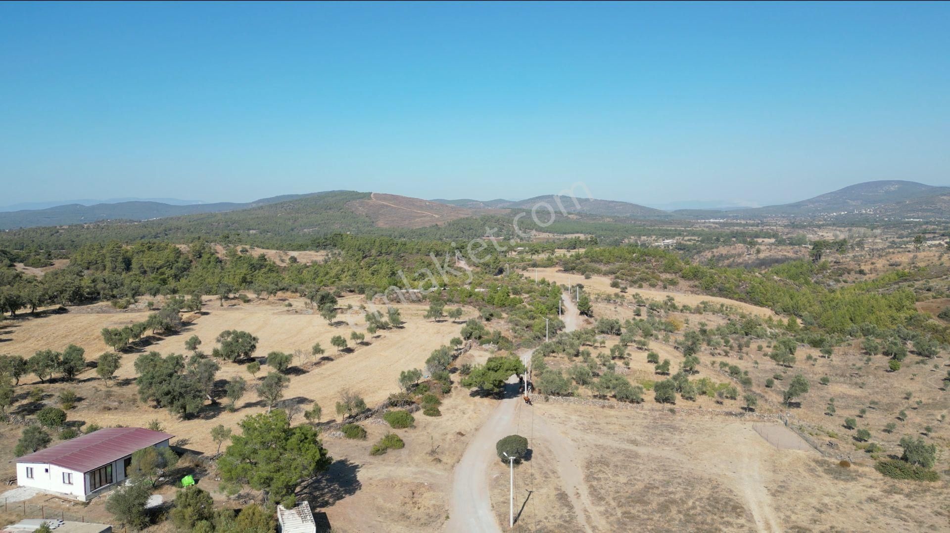 Muğla Bodrum Mumcular'da 38 Konut İçin Uygun 9465m² Arsa - Görsel 16