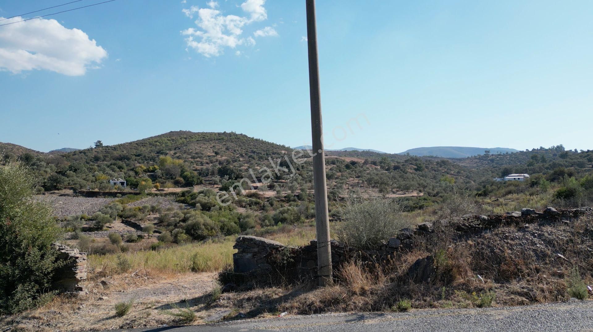 Muğla Bodrum Mumcular'da 38 Konut İçin Uygun 9465m² Arsa - Görsel 21