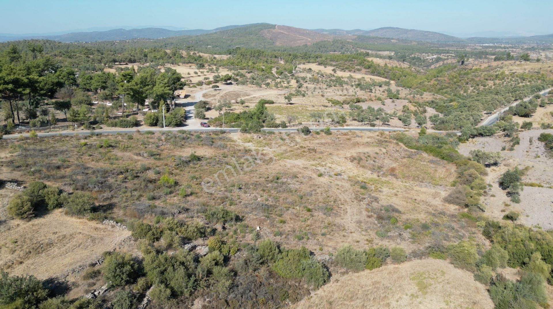 Muğla Bodrum Mumcular'da 38 Konut İçin Uygun 9465m² Arsa - Görsel 10