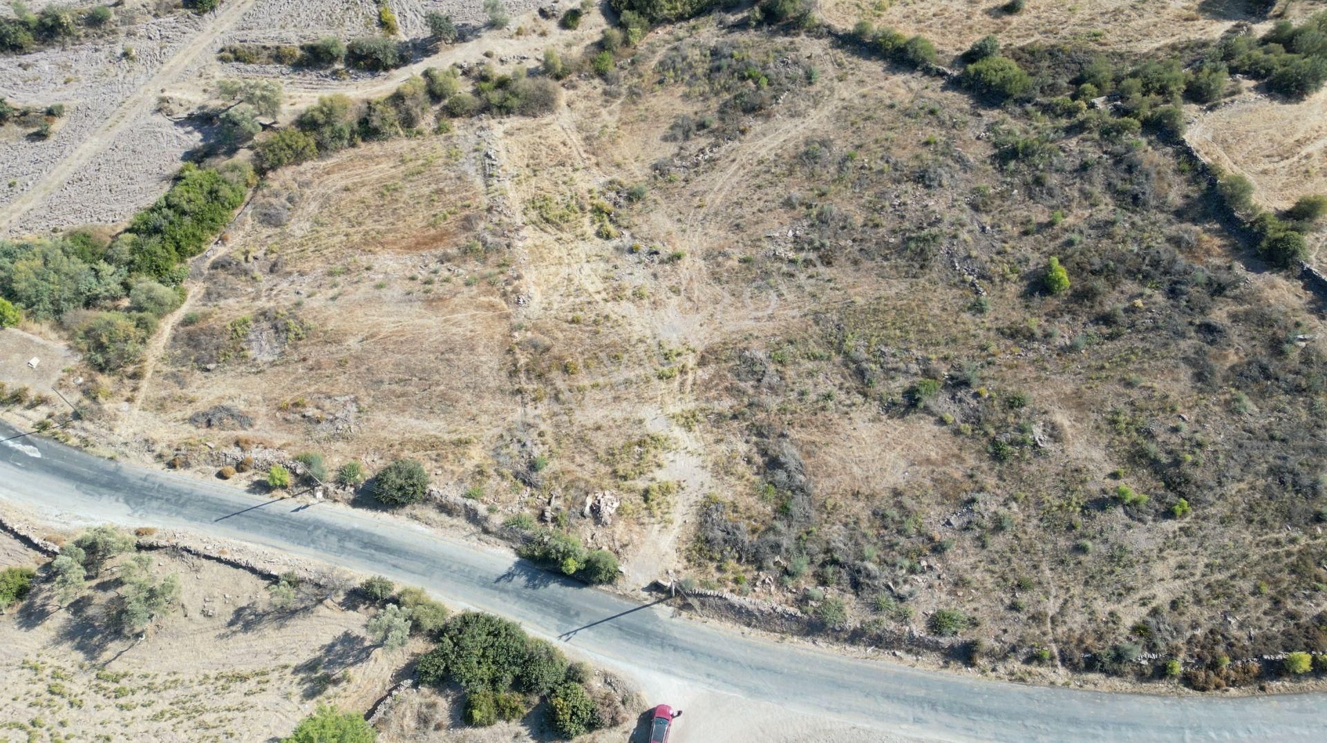 Muğla Bodrum Mumcular'da 38 Konut İçin Uygun 9465m² Arsa - Görsel 19