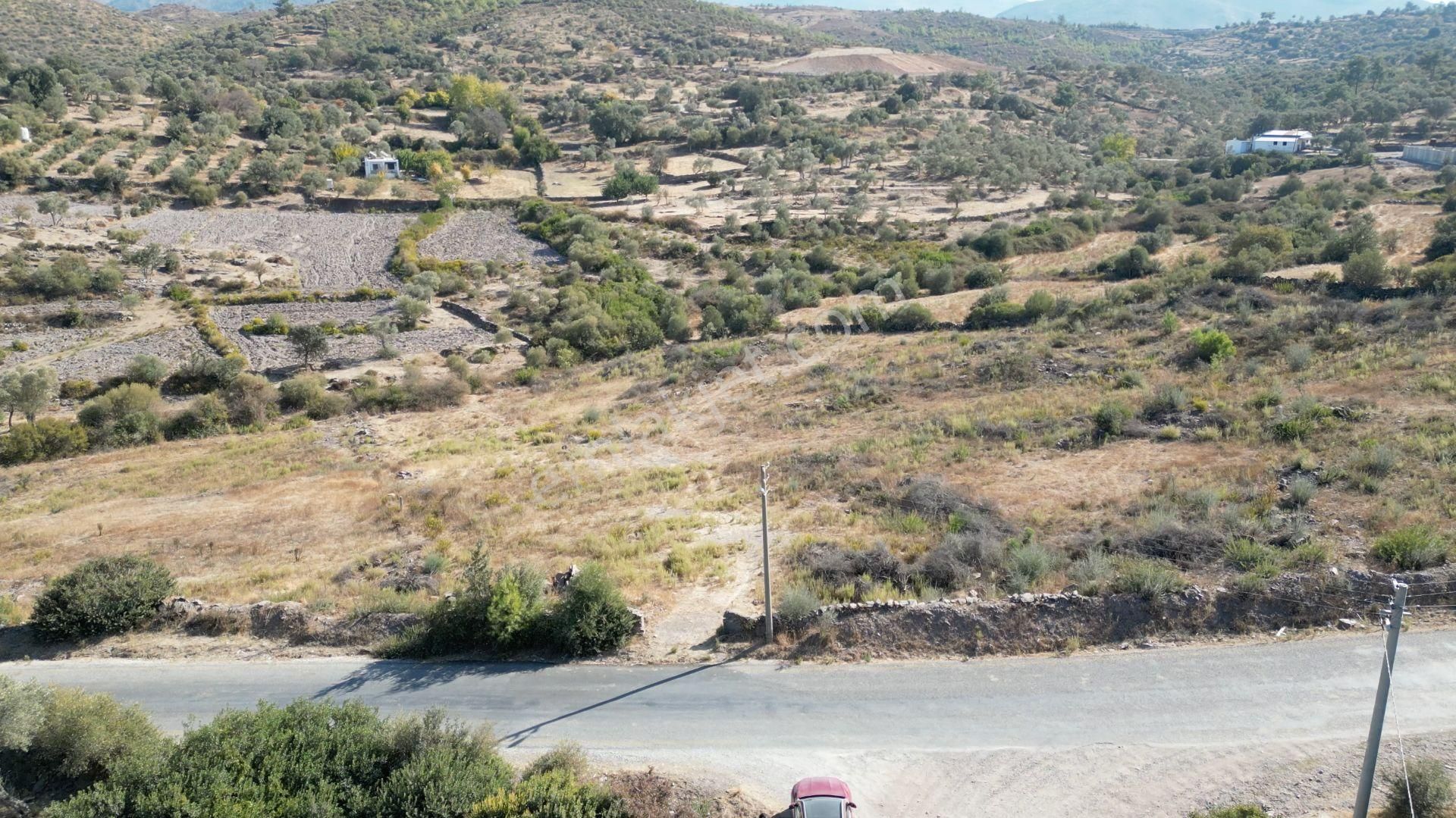 Muğla Bodrum Mumcular'da 38 Konut İçin Uygun 9465m² Arsa - Görsel 8