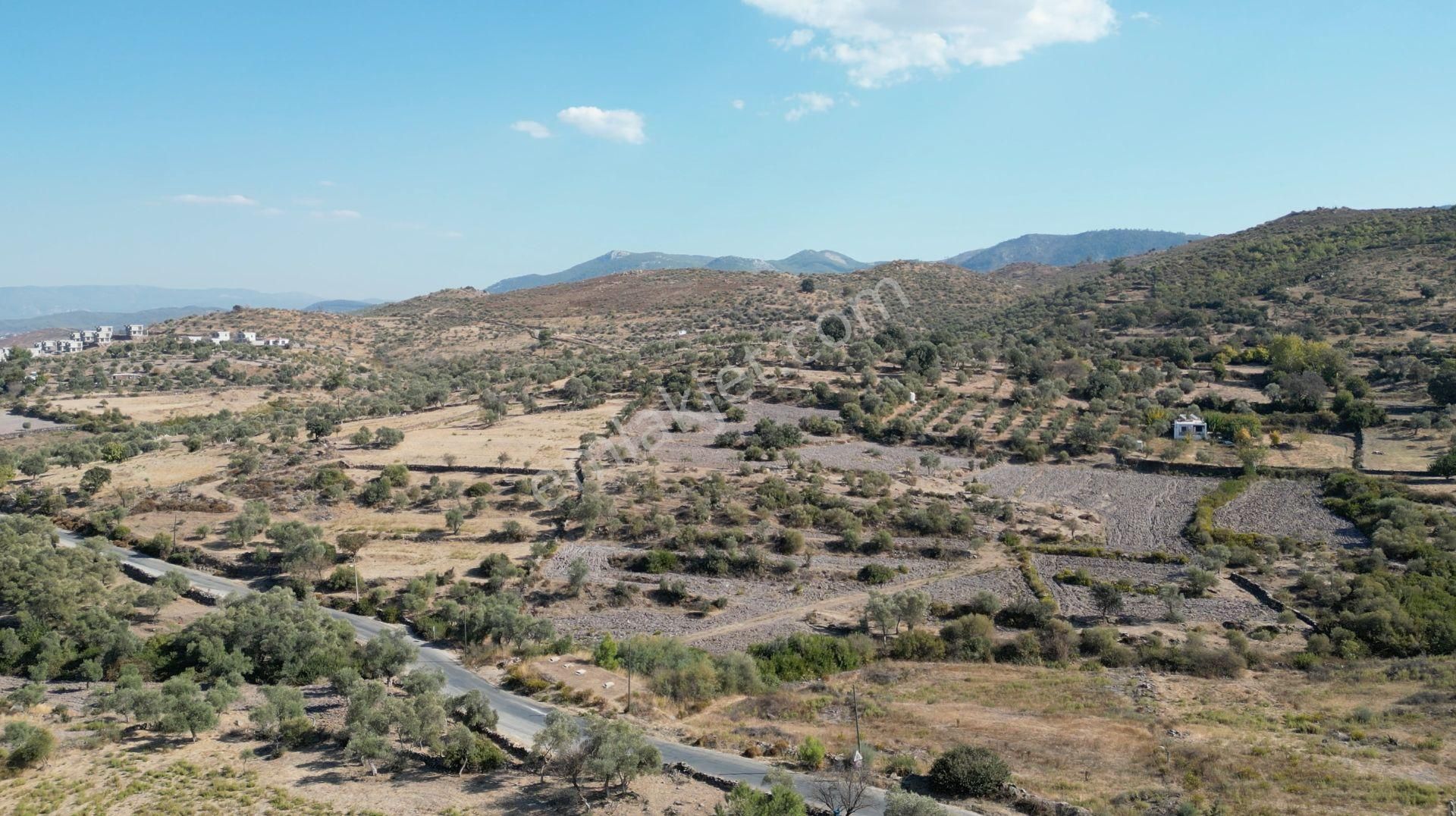 Muğla Bodrum Mumcular'da 38 Konut İçin Uygun 9465m² Arsa - Görsel 14