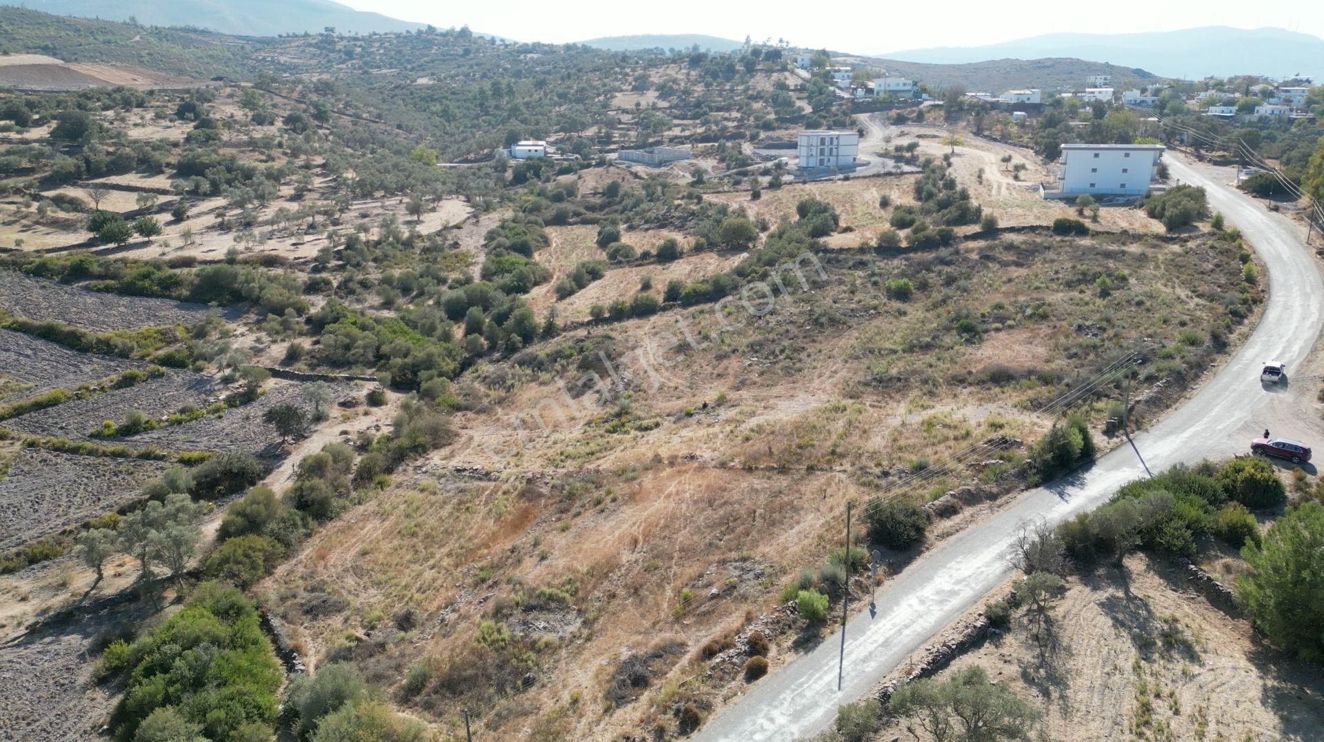 Muğla Bodrum Mumcular'da 38 Konut İçin Uygun 9465m² Arsa - Görsel 13