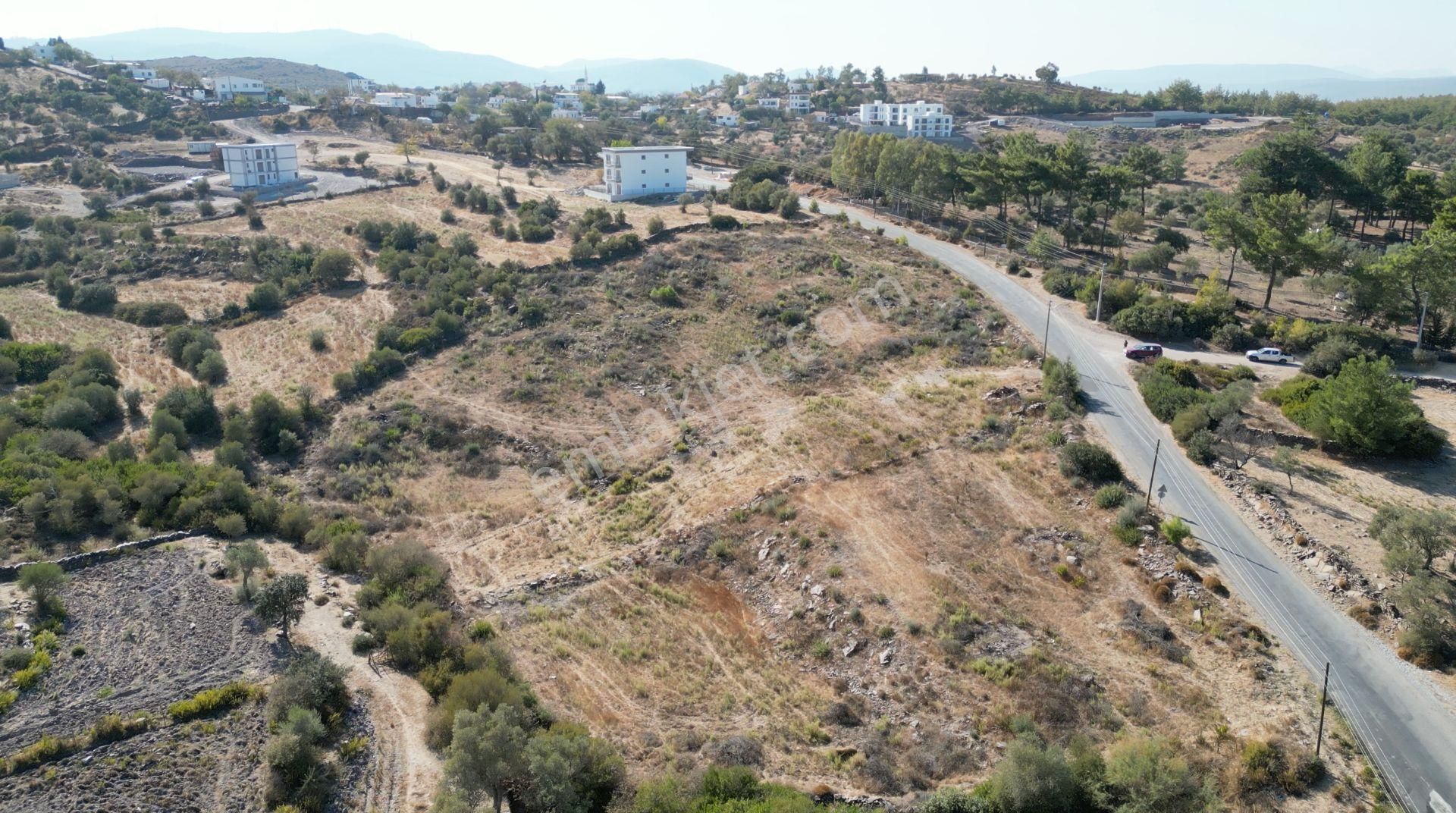 Muğla Bodrum Mumcular'da 38 Konut İçin Uygun 9465m² Arsa - Görsel 12