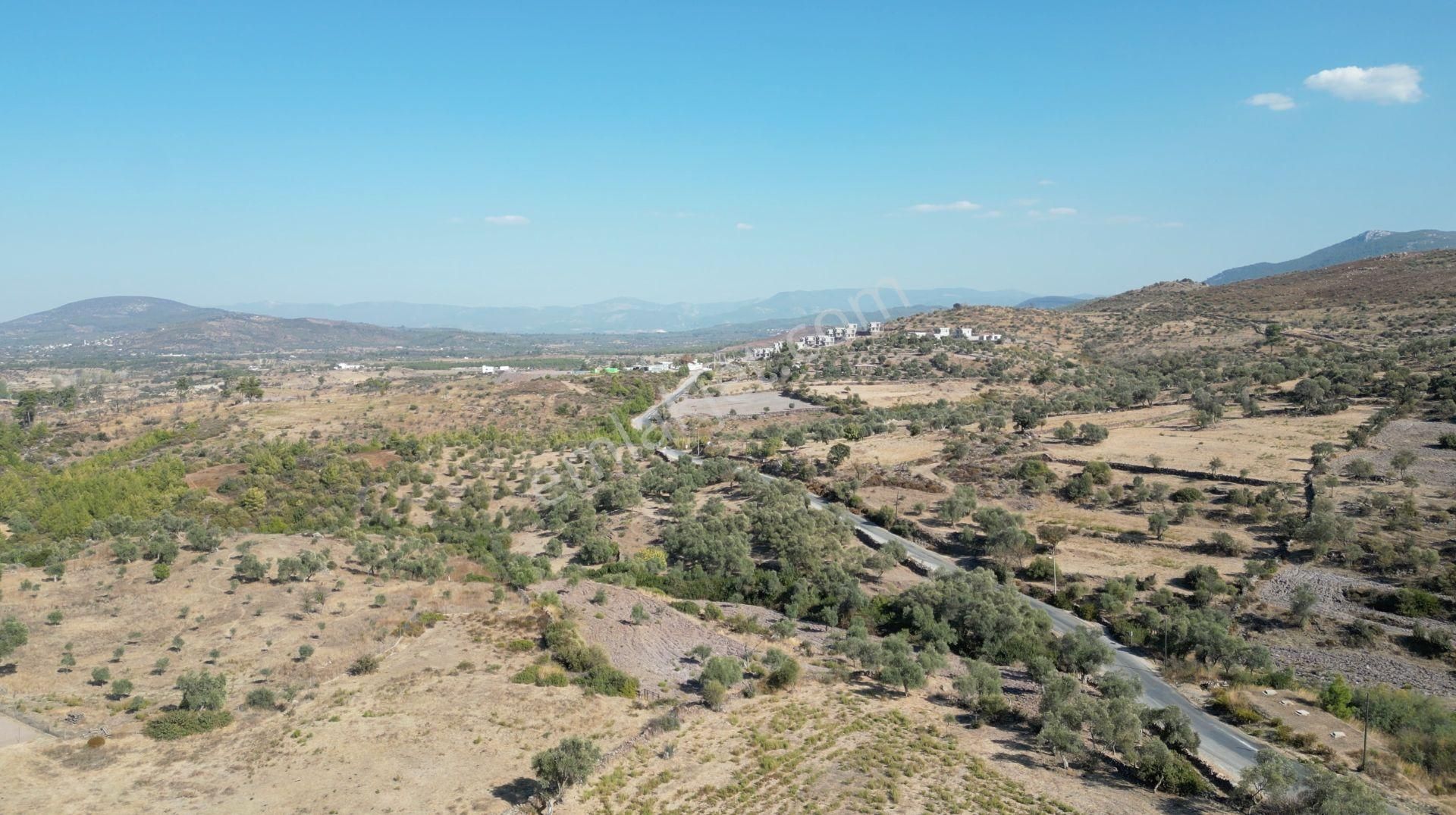 Muğla Bodrum Mumcular'da 38 Konut İçin Uygun 9465m² Arsa - Görsel 15